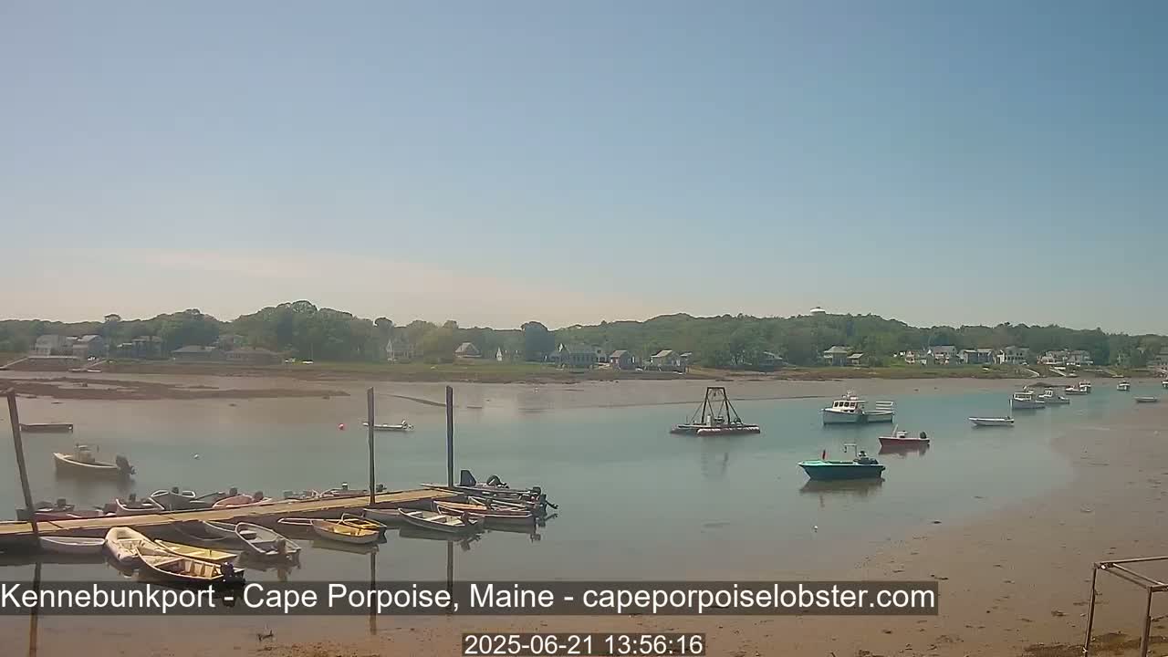 A calm, sunny day reveals a harbor scene with numerous small boats docked at a pier and others anchored in shallow, muddy water, backed by a tree-lined shoreline with houses.