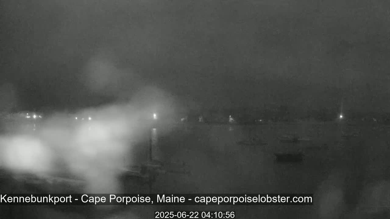 A nighttime, foggy view of a harbor with faintly visible boats and lights along the shoreline.