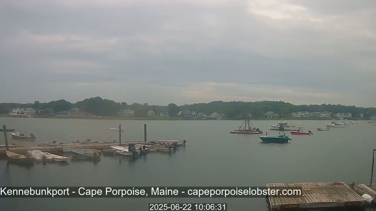 Several boats are moored at a dock in a calm bay under an overcast sky, with a line of houses visible in the distance.
