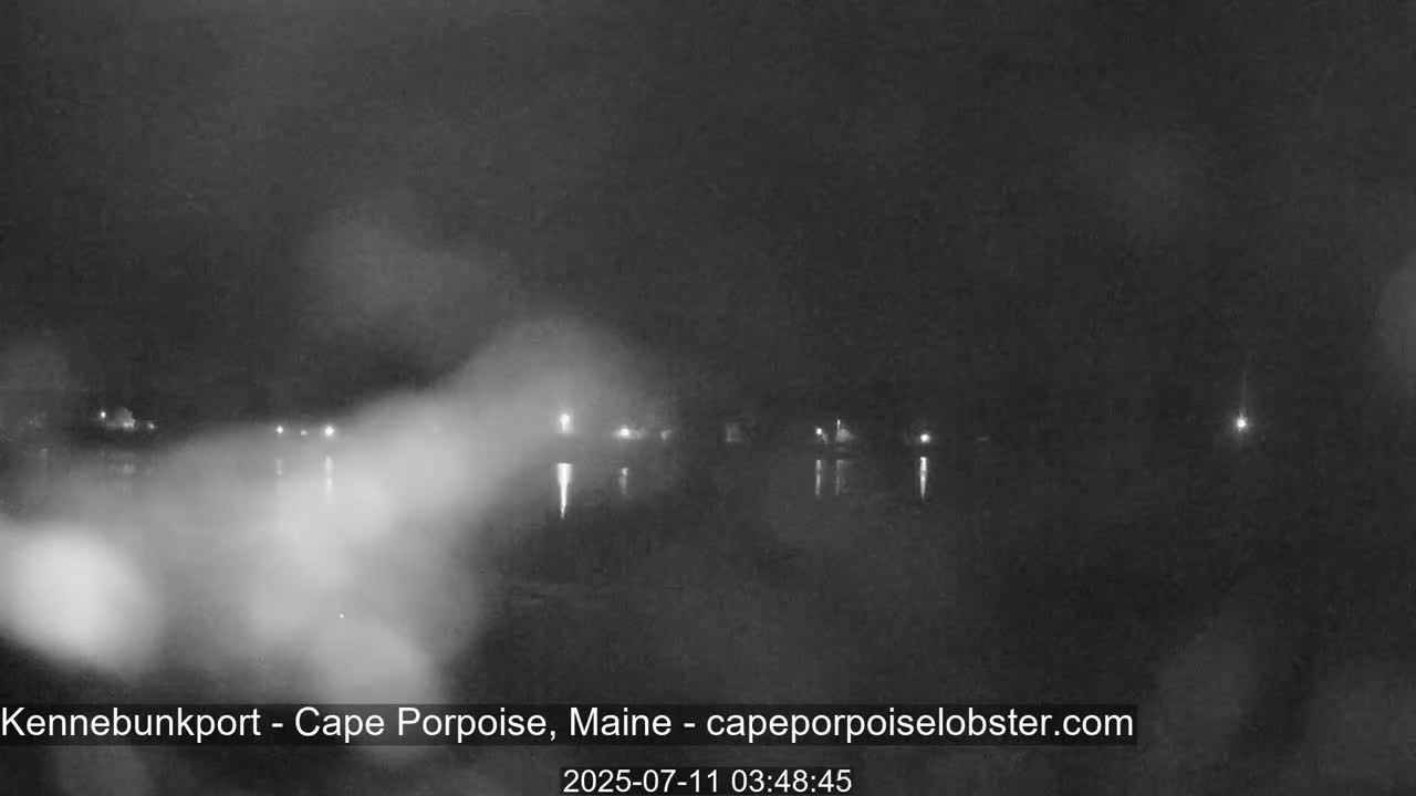 A nighttime, foggy view of a body of water with faint lights visible across the water.