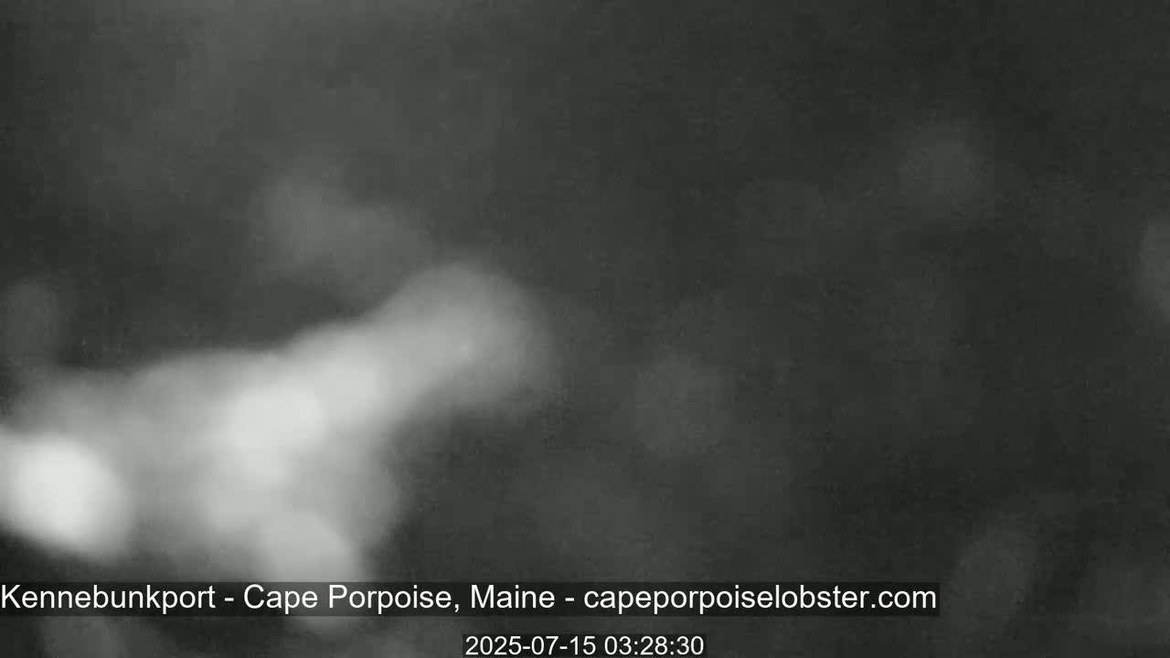 A blurry, nighttime image shows indistinct shapes and bright spots, possibly due to fog or low light conditions.