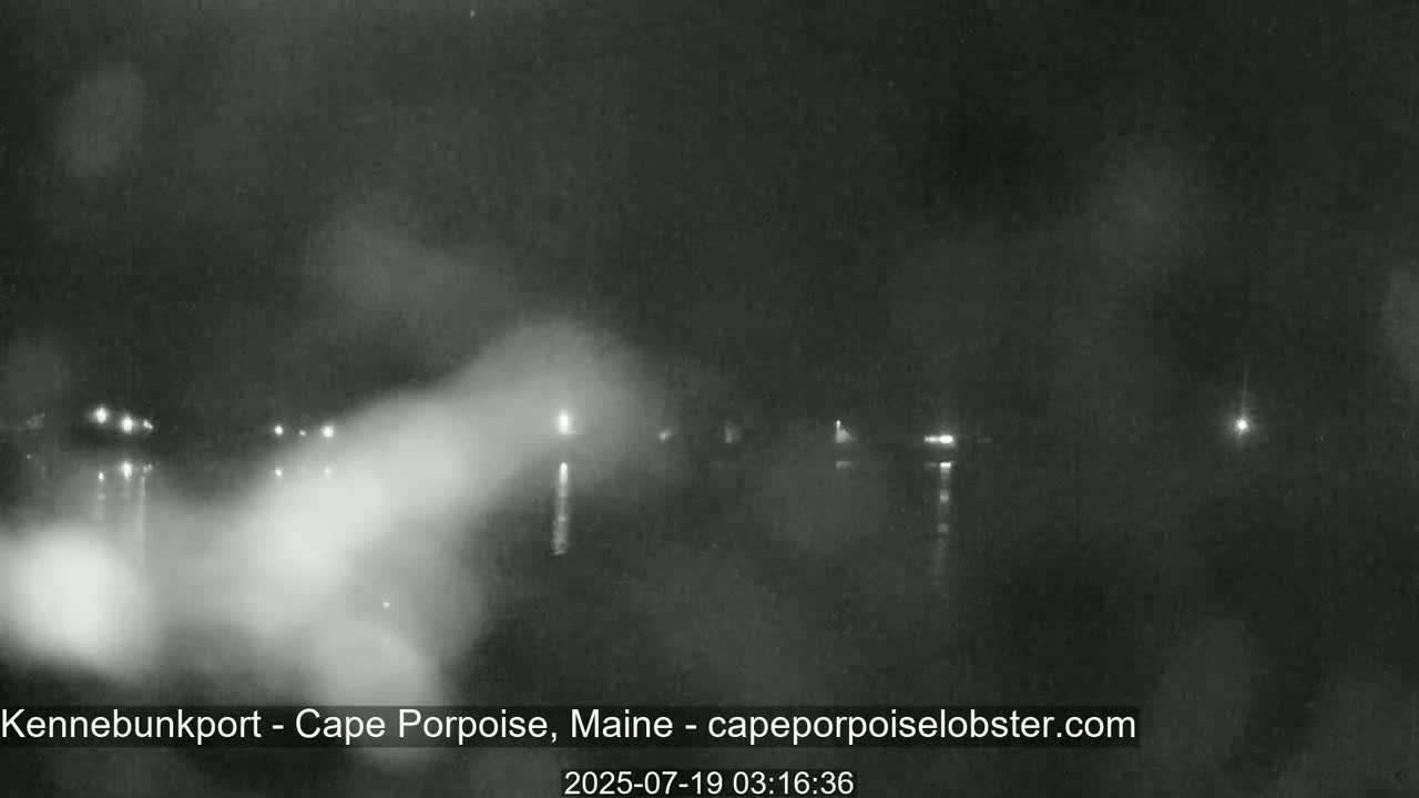 A nighttime, foggy view of a waterfront with faint lights visible in the distance.