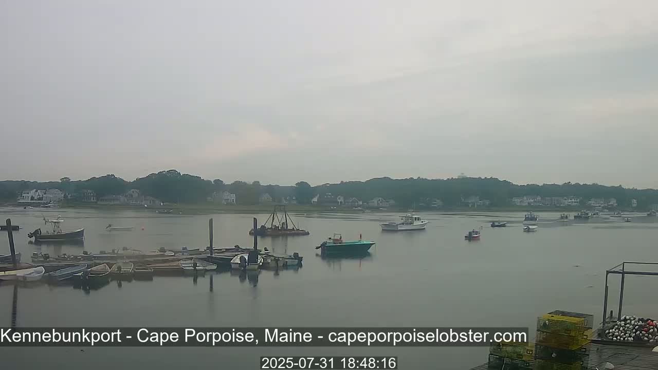 Several boats are moored at a dock in calm, overcast water, with a shoreline of houses and trees in the background.