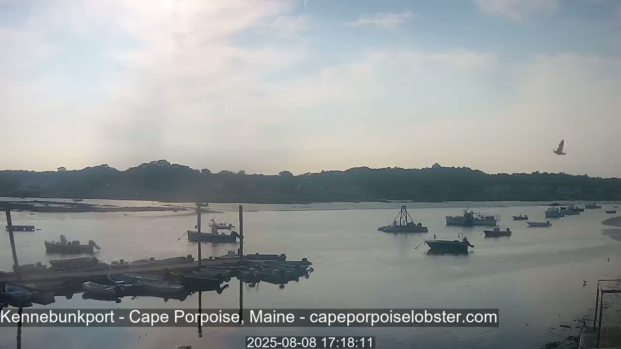 Cape Porpoise,  Inner Harbor Live Cam - Kennebunkport, Maine, USA