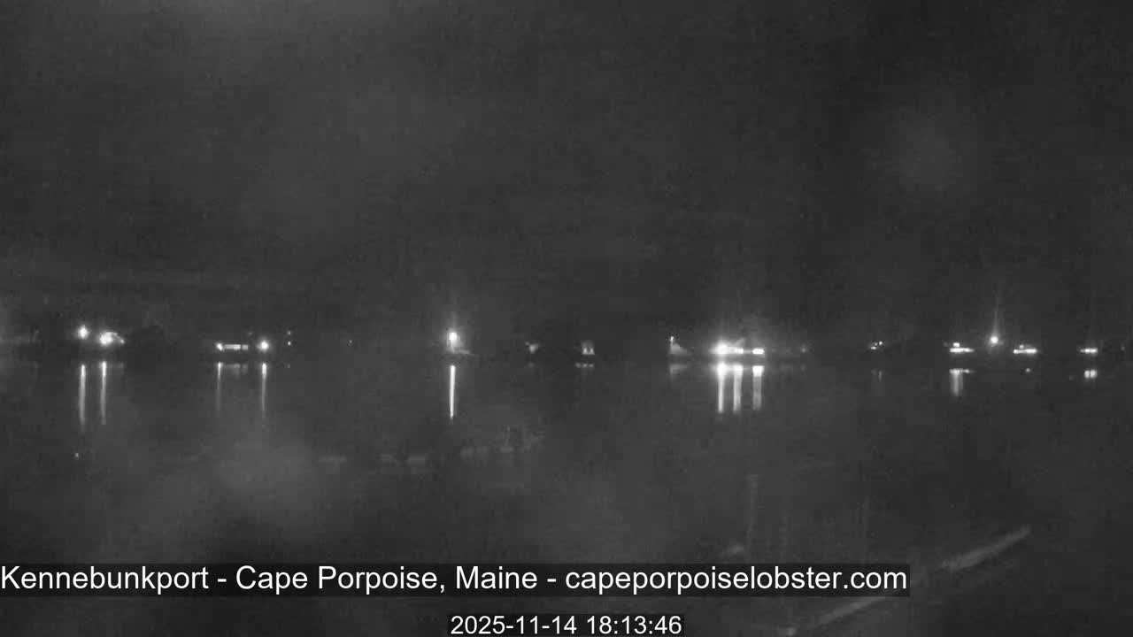 A dark, misty night scene shows a body of water reflecting numerous distant lights under an overcast sky.