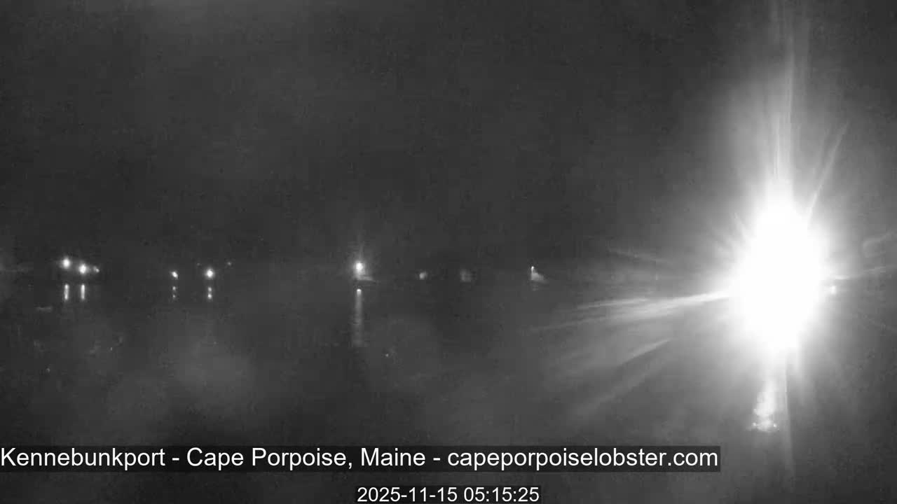 A dark, misty scene at night shows several distant lights reflecting on water, with an intense, glaring light source on the right illuminating the foreground.