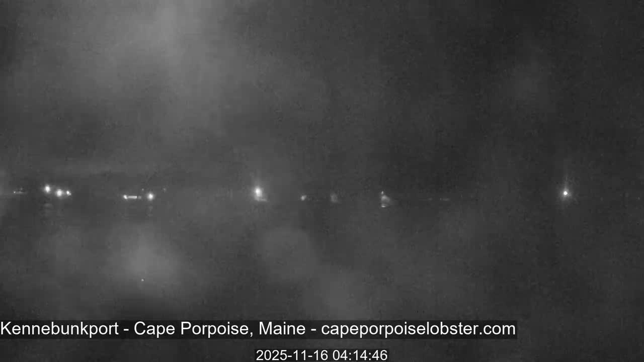 A heavily fogged outdoor scene at night displays several bright, scattered lights against a dark, obscured background.