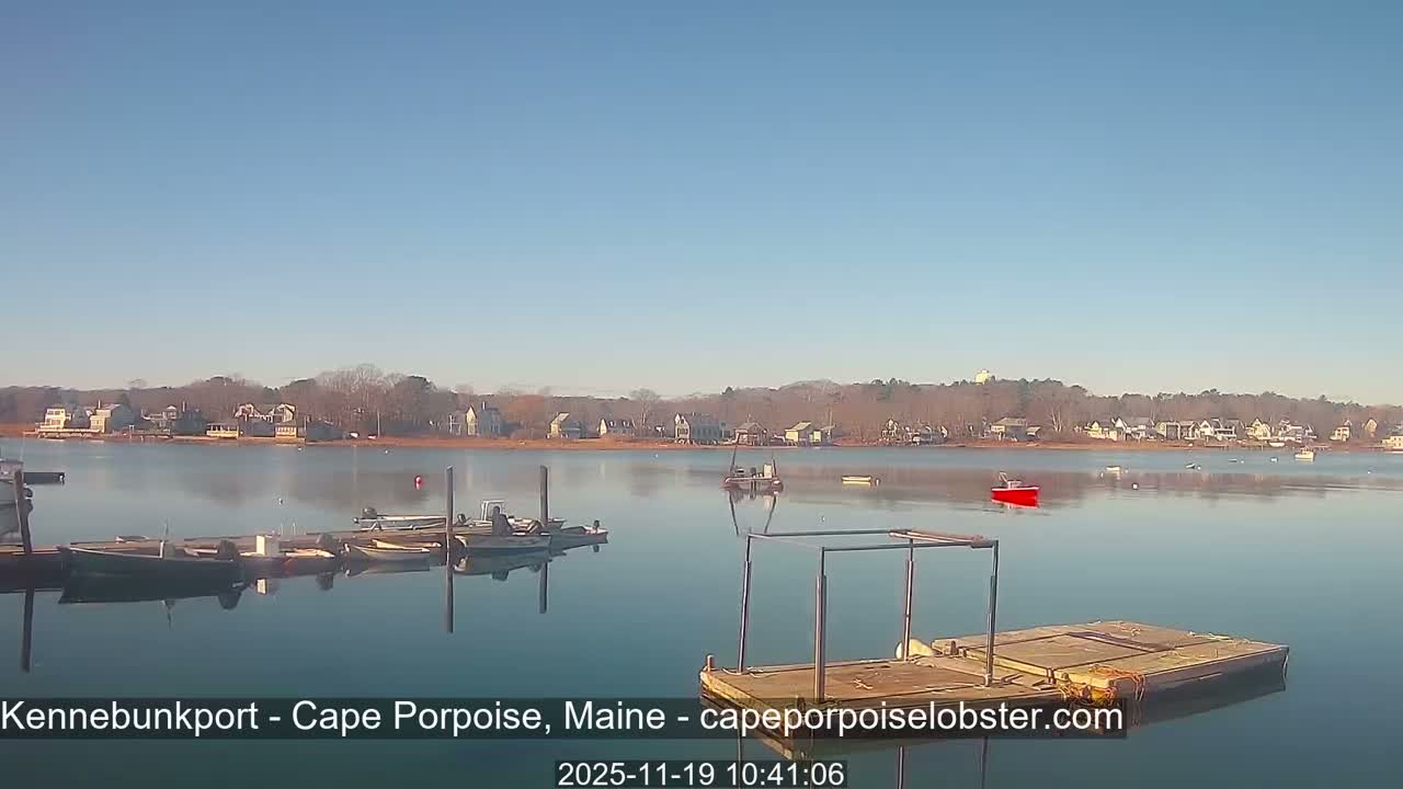 A heavily fogged outdoor scene at night displays several bright, scattered lights against a dark, obscured background.