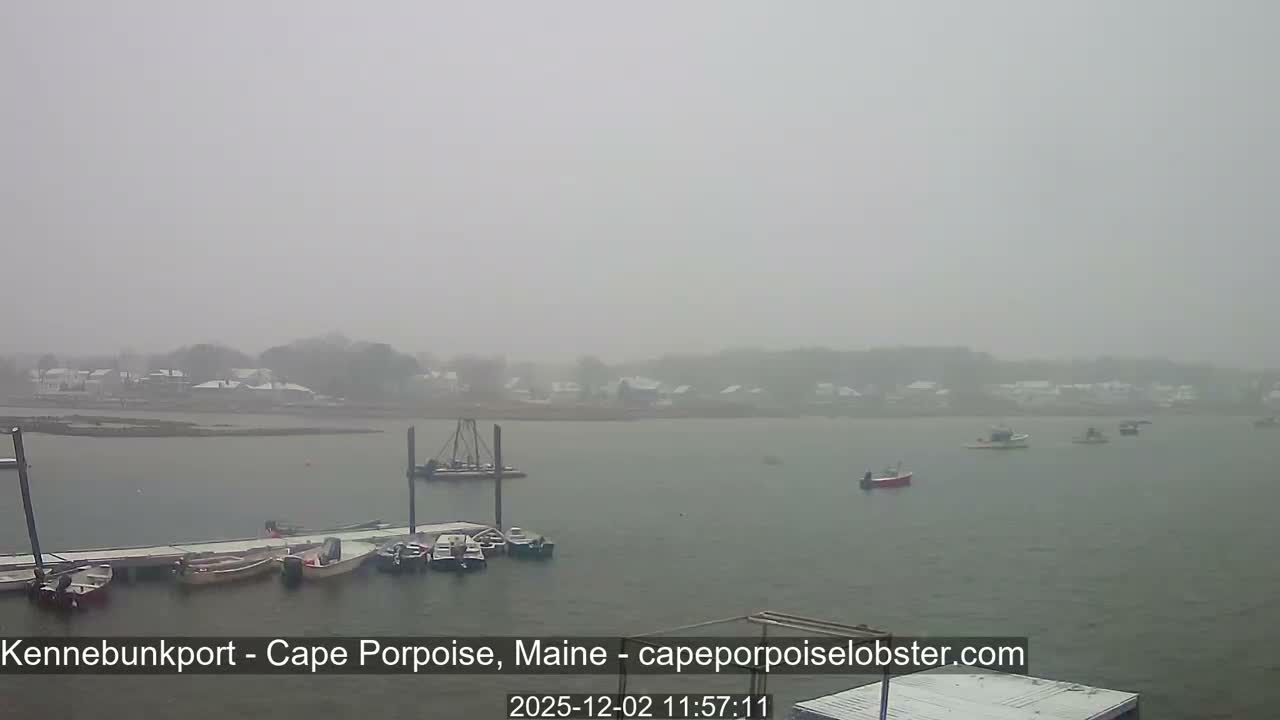 A foggy and overcast winter day depicts a tranquil harbor with various boats docked and anchored in the water, and a snow-dusted coastline faintly visible in the misty distance.