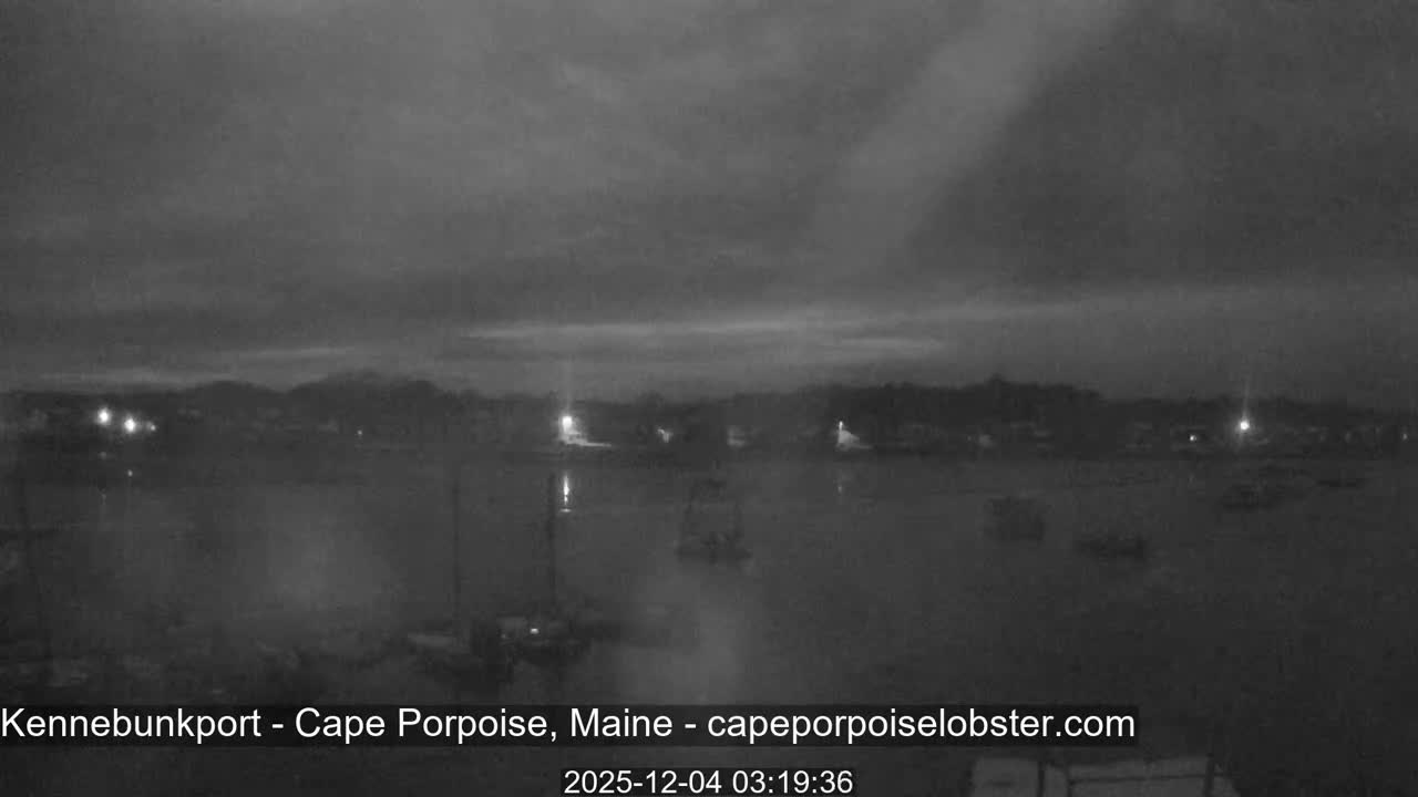 A dark, overcast night scene shows a harbor or bay with several boats, illuminated by distant shore lights reflecting on the water.