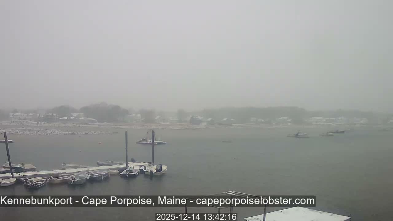 A dark, overcast night scene shows a harbor or bay with several boats, illuminated by distant shore lights reflecting on the water.