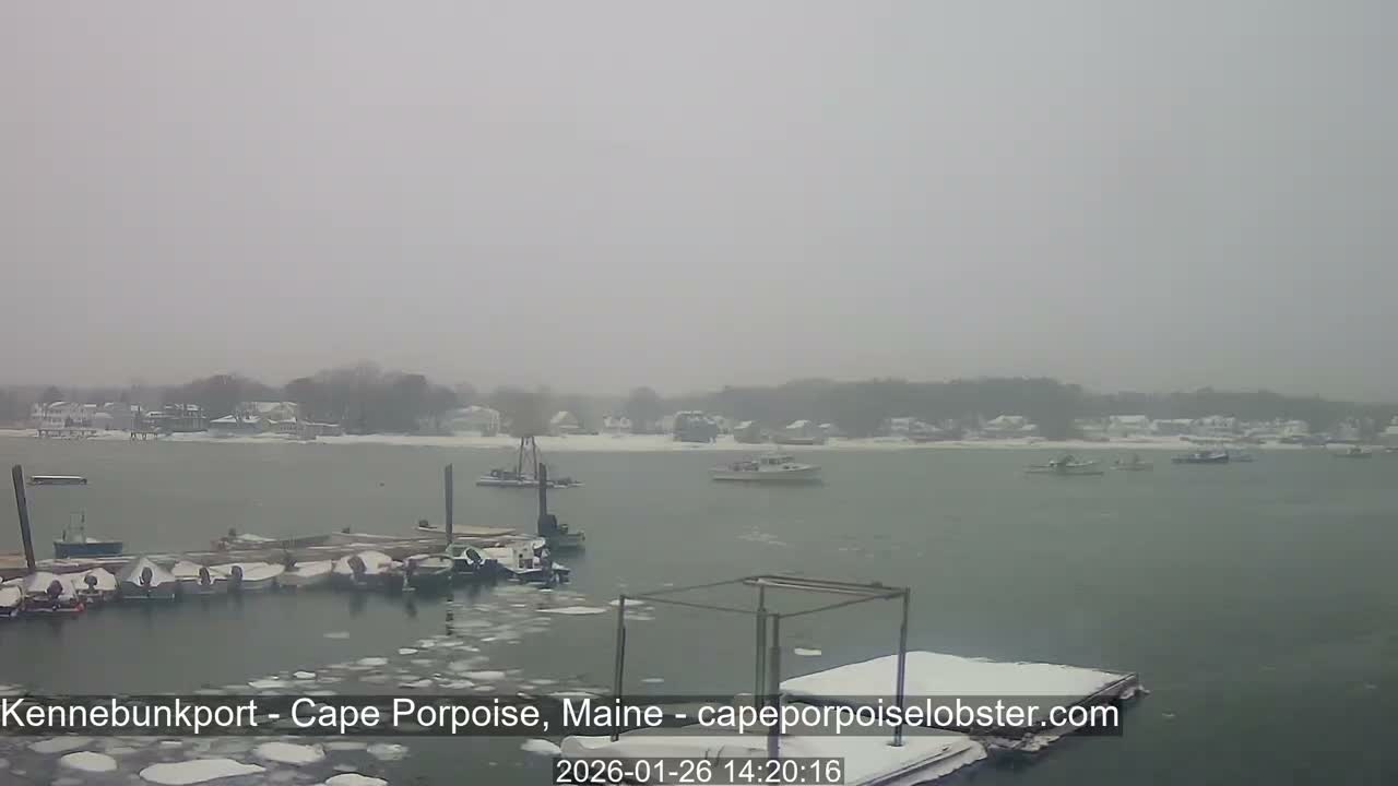 Cape Porpoise,  Inner Harbor Live Cam - Kennebunkport, Maine, USA