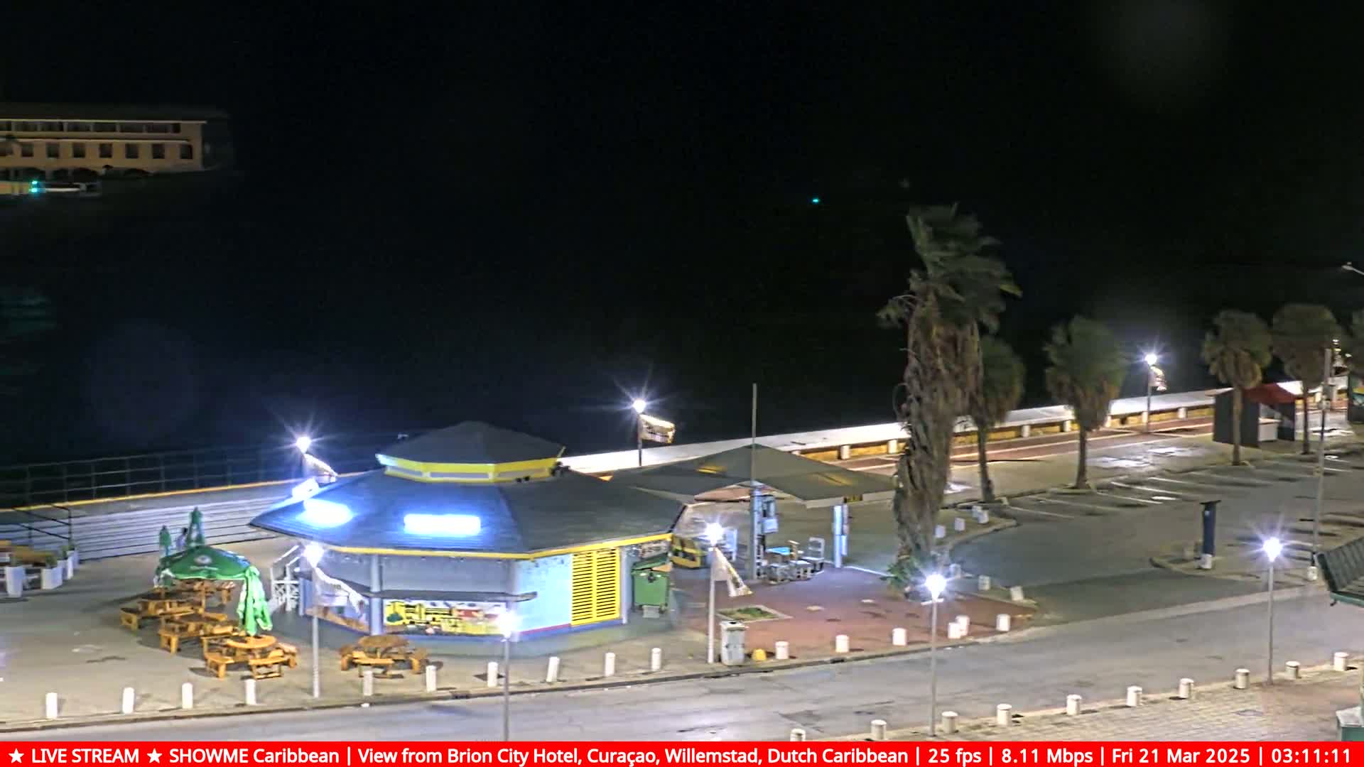 A nighttime view of a waterfront area with a small illuminated building, palm trees swaying in the wind, and a mostly empty parking lot.