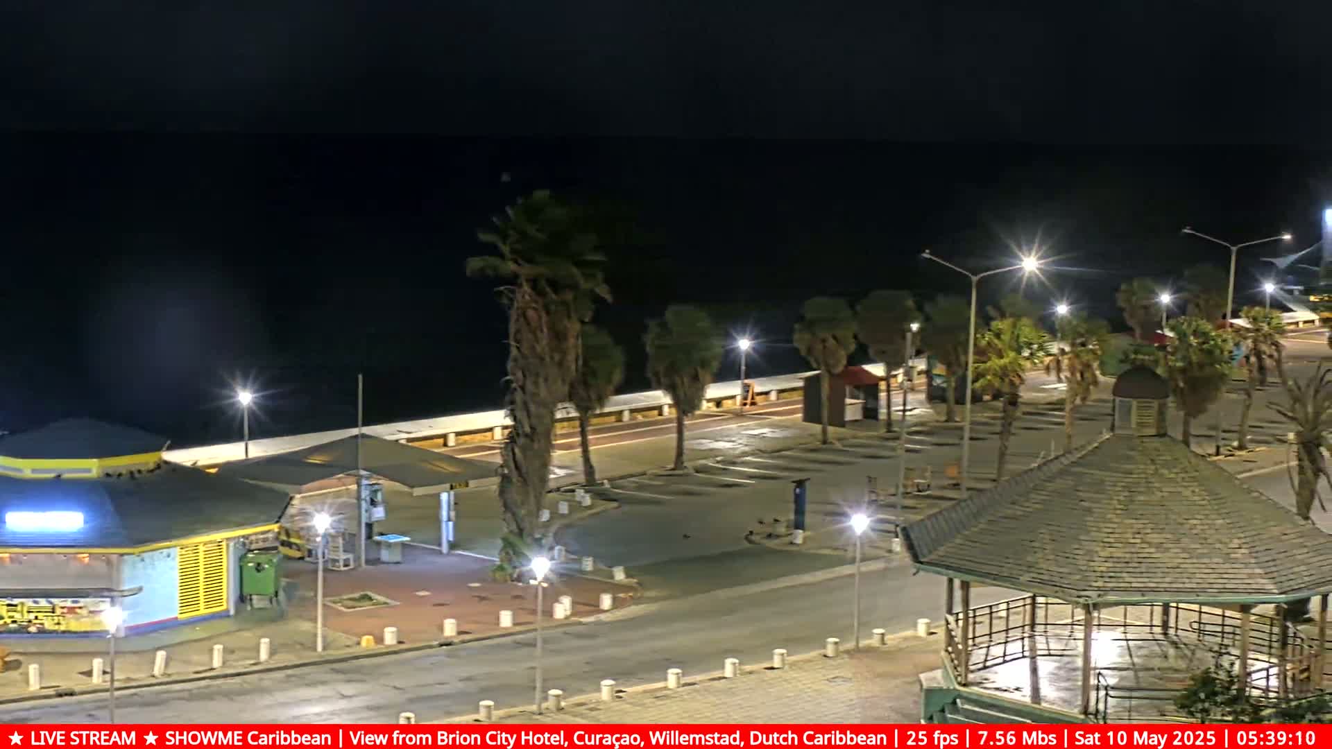 A nighttime view of a coastal area shows a mostly empty parking lot, palm trees, streetlights, a gazebo, and a small building near the water under a clear, dark sky.