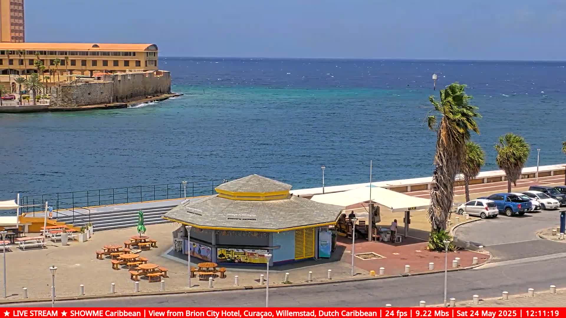 A seaside scene on a sunny day shows a small kiosk with tables and chairs, a parking lot with cars, palm trees, and a large building on the waterfront.