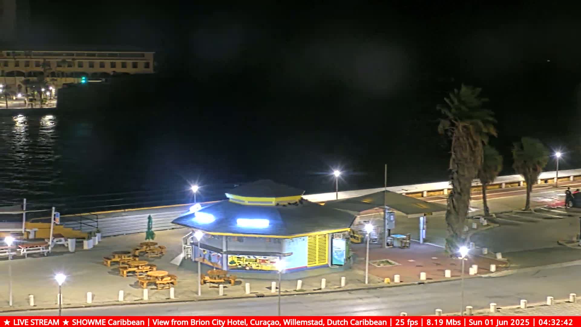 A nighttime waterfront scene shows a small, brightly lit building with outdoor seating near a calm body of water, with palm trees and streetlights lining a paved area.