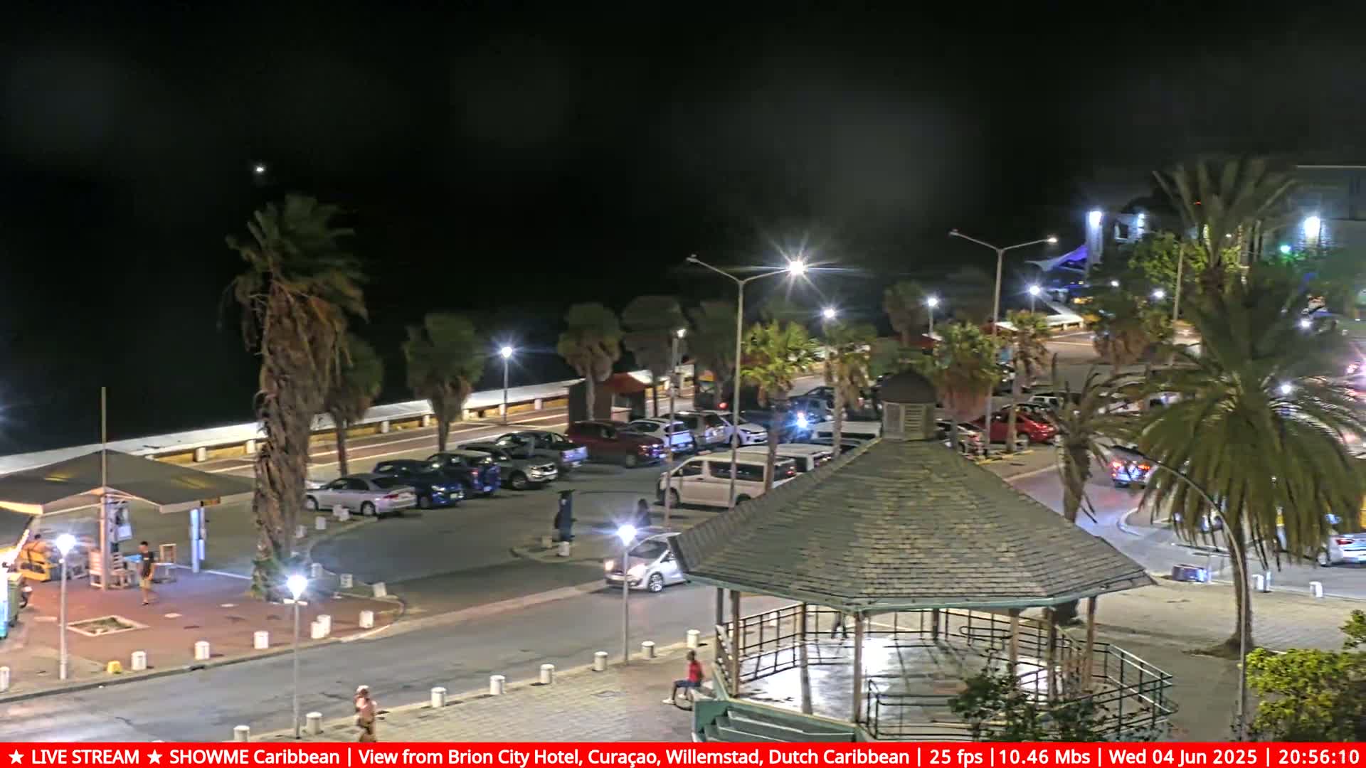 A nighttime view of a waterfront area with palm trees, streetlights, parked cars, and a gazebo, under a clear night sky.