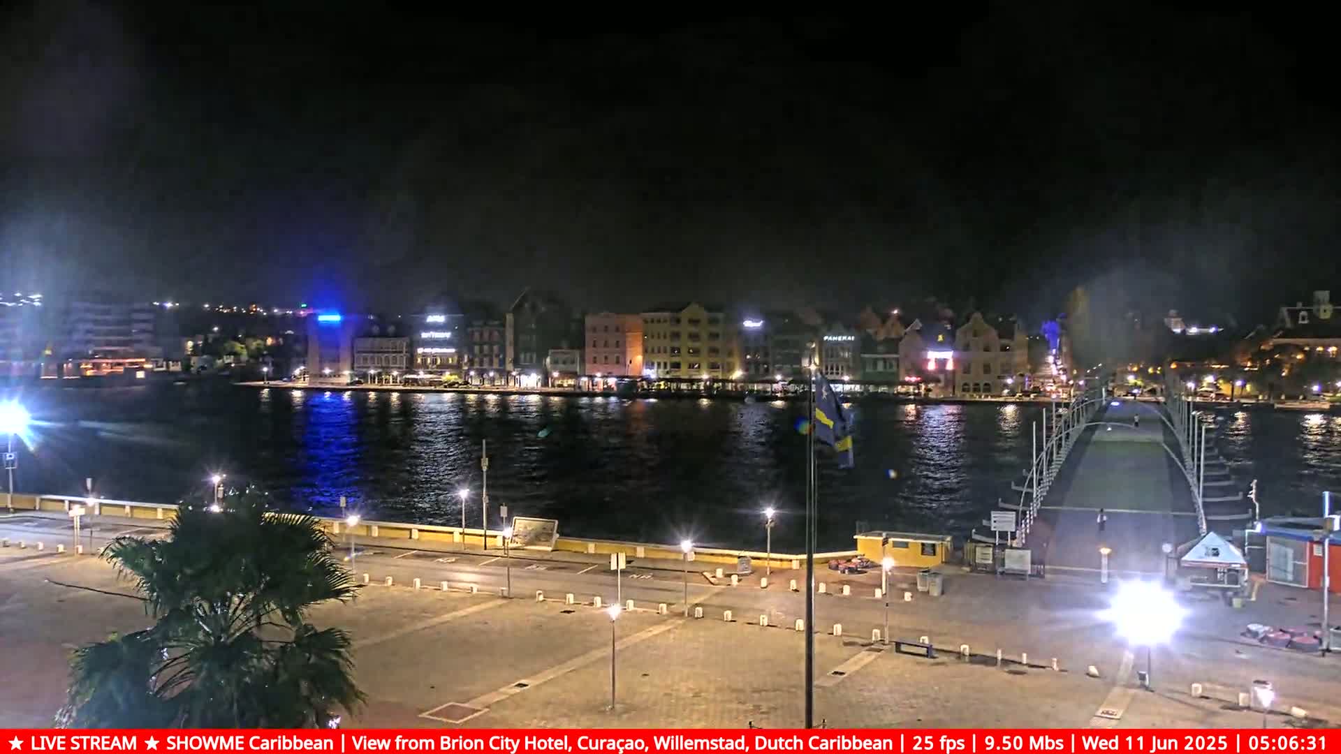 A nighttime view of a city waterfront with illuminated buildings along a calm body of water, a bridge extending from the shore, and a palm tree in the foreground.