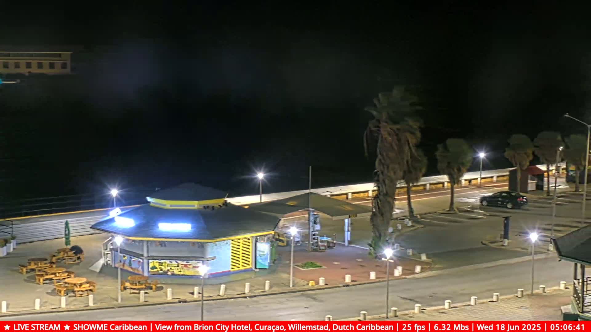 A nighttime coastal scene shows a small building with a yellow roof and brightly lit windows, outdoor seating, palm trees swaying in the breeze, a dark car in a parking lot, and a dark body of water in the background.