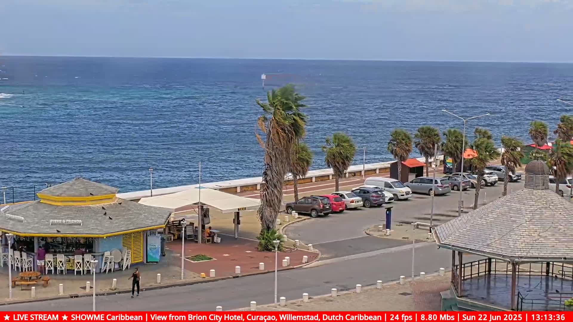 A seaside scene shows a partly cloudy day with a calm ocean, palm trees lining a paved walkway, cars parked nearby, a beachfront bar, and a gazebo.