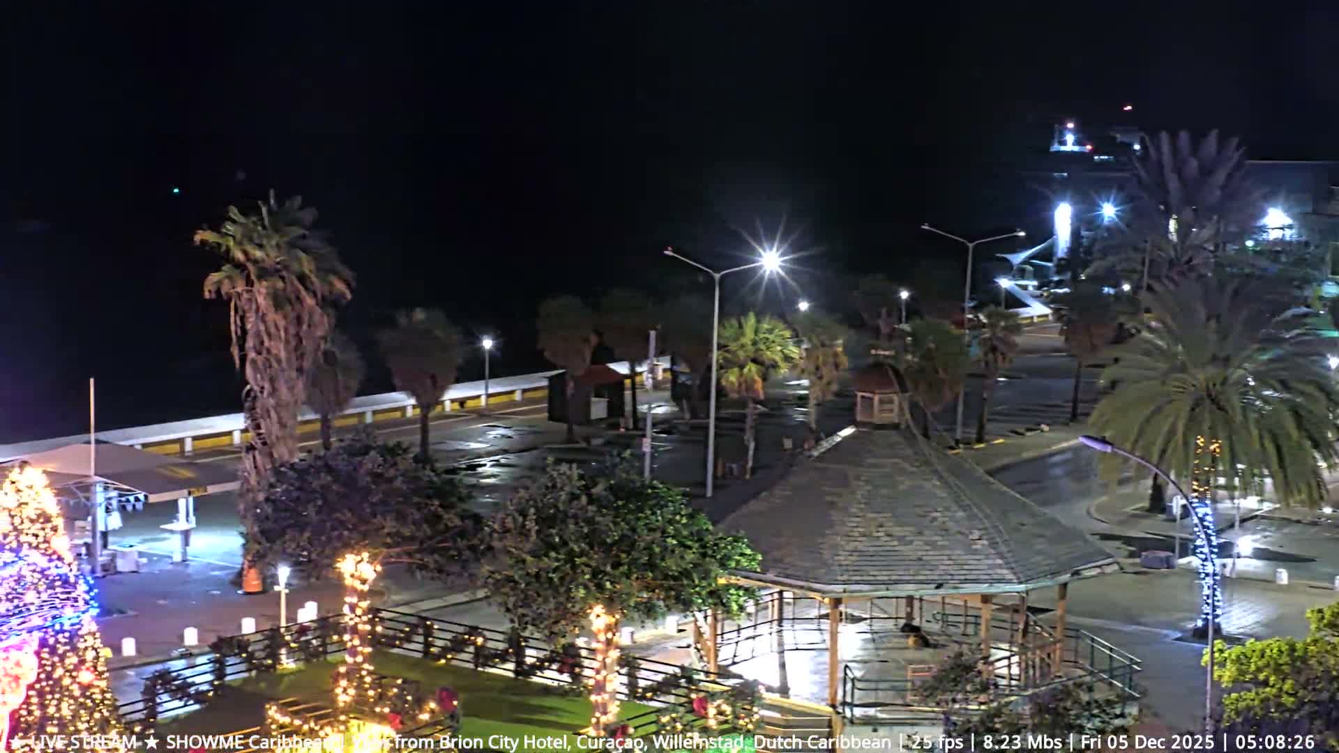 A clear night reveals a tropical outdoor area illuminated by streetlights and festive decorations, featuring palm trees, a prominent Christmas tree, a gazebo, and wet pavement suggesting recent rain.