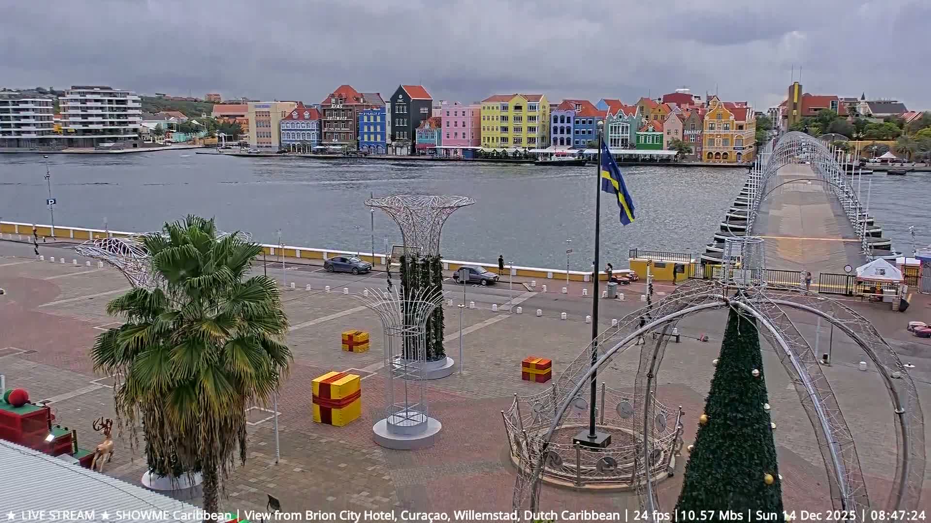 A clear night reveals a tropical outdoor area illuminated by streetlights and festive decorations, featuring palm trees, a prominent Christmas tree, a gazebo, and wet pavement suggesting recent rain.