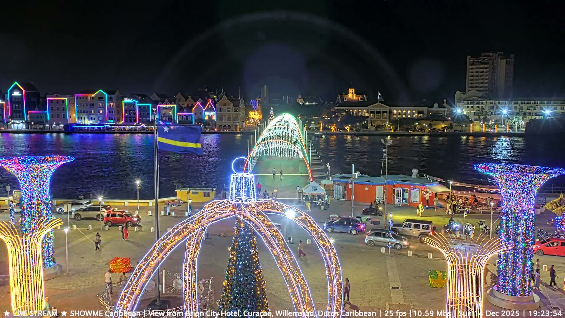 A clear night reveals a tropical outdoor area illuminated by streetlights and festive decorations, featuring palm trees, a prominent Christmas tree, a gazebo, and wet pavement suggesting recent rain.