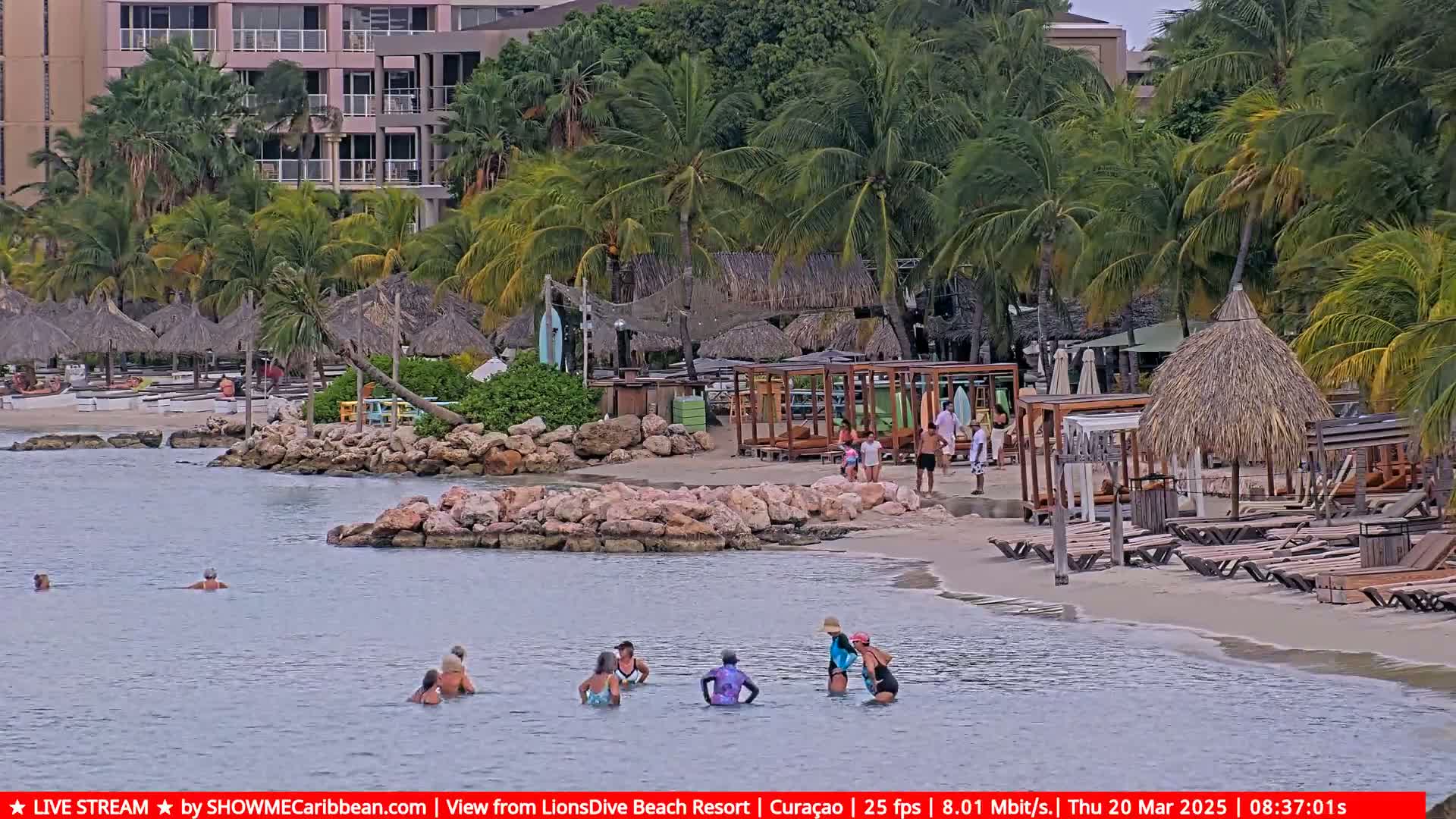 A calm beach scene shows people swimming and relaxing on a sandy shore lined with palm trees, thatched umbrellas, and lounge chairs near a resort.