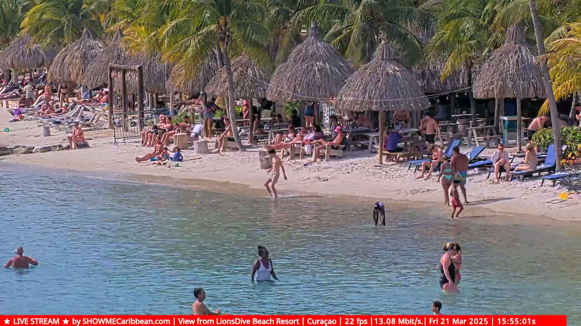 A sunny beach scene shows many people relaxing under thatched umbrellas, swimming in clear water, and sunbathing on the sand, surrounded by palm trees.