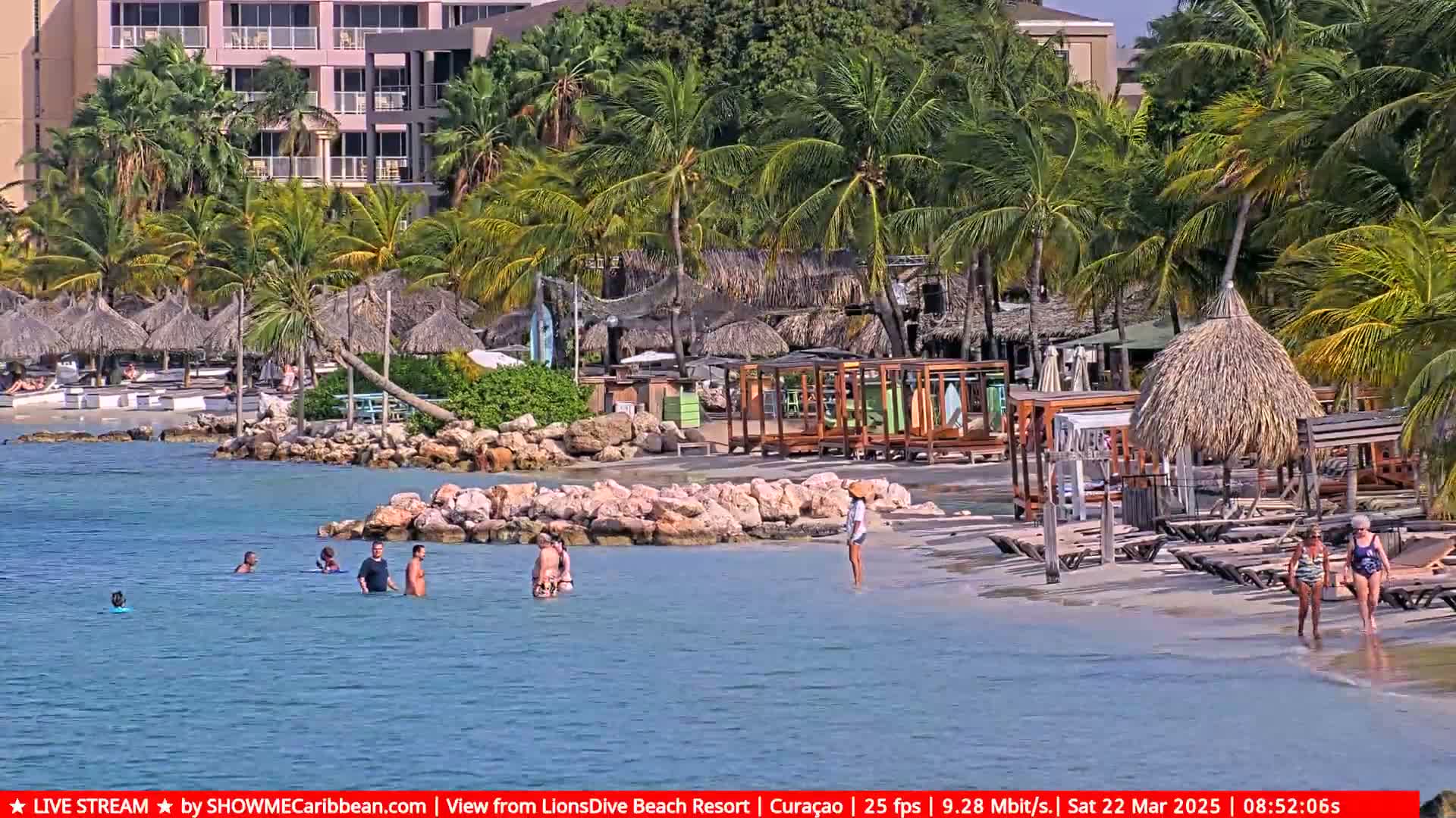 A beach scene with calm water, people swimming and walking on the sand, palm trees, beach umbrellas, and beach chairs under a sunny sky.