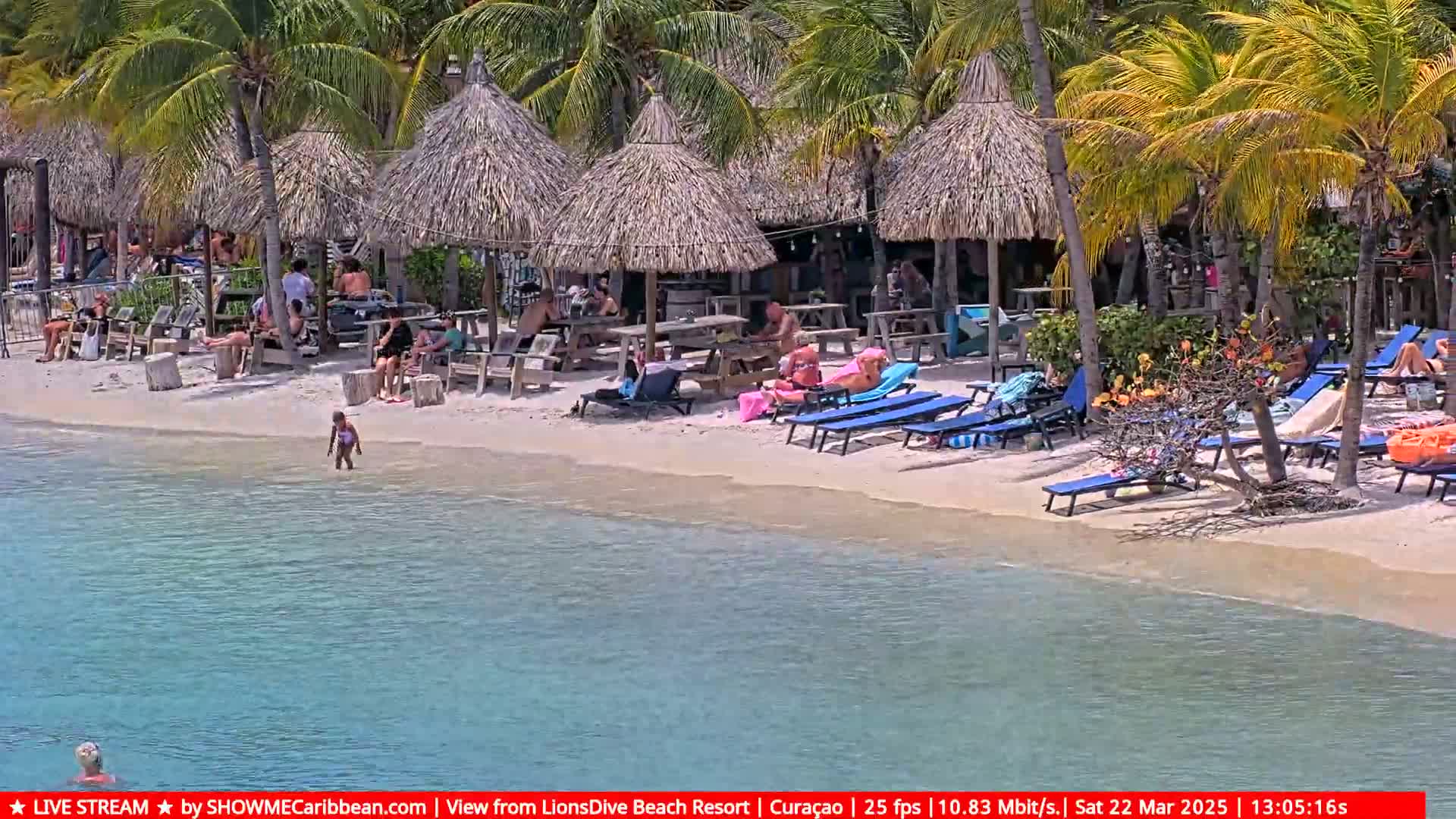 A sandy beach with turquoise water, palm trees, thatched-roof umbrellas, and beachgoers relaxing on lounge chairs under a sunny sky.
