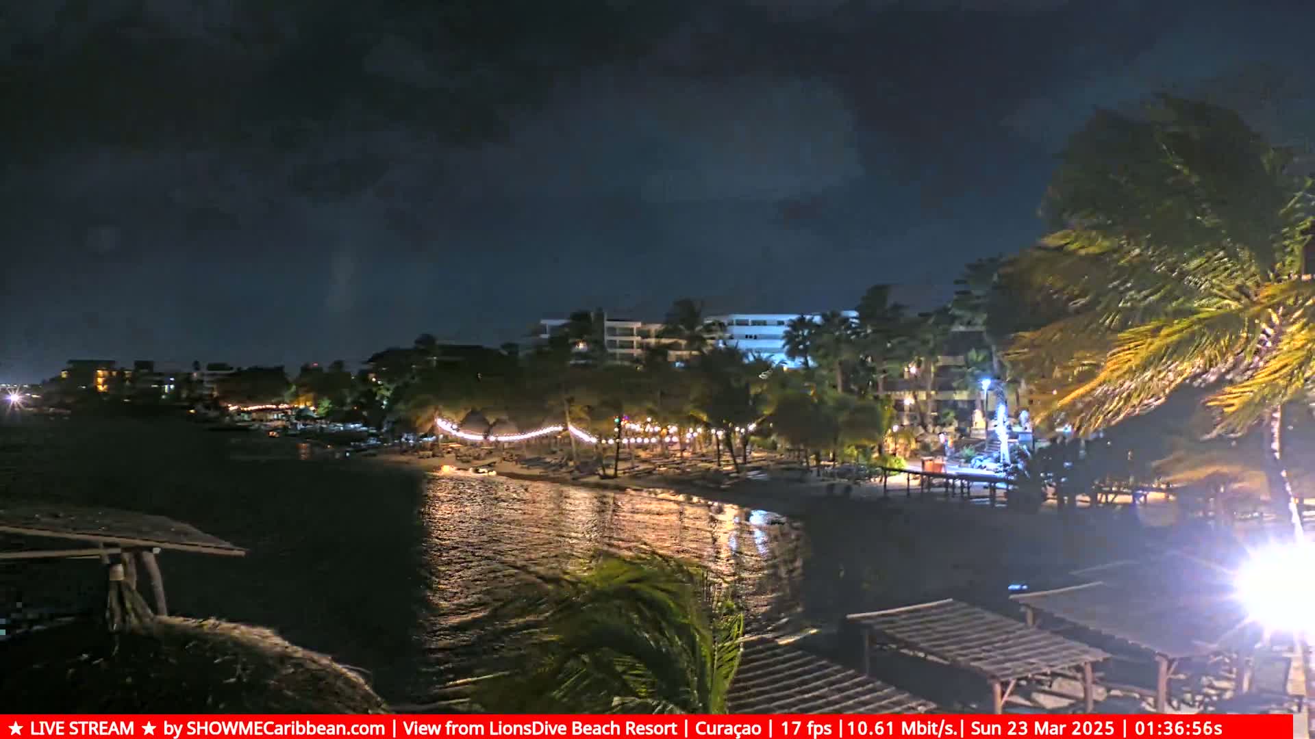 A nighttime beach scene with palm trees swaying in the wind, lights illuminating a resort and beach area, and calm water reflecting the lights.