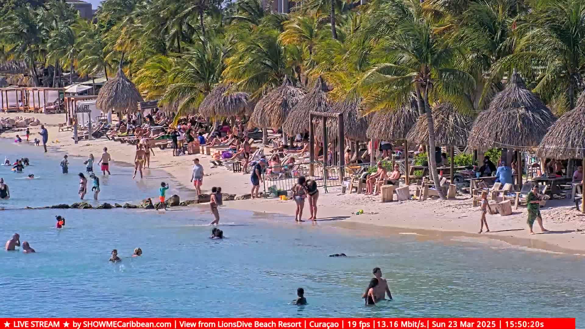 A sunny beach scene shows many people swimming and relaxing under thatched umbrellas on a sandy shore lined with palm trees.