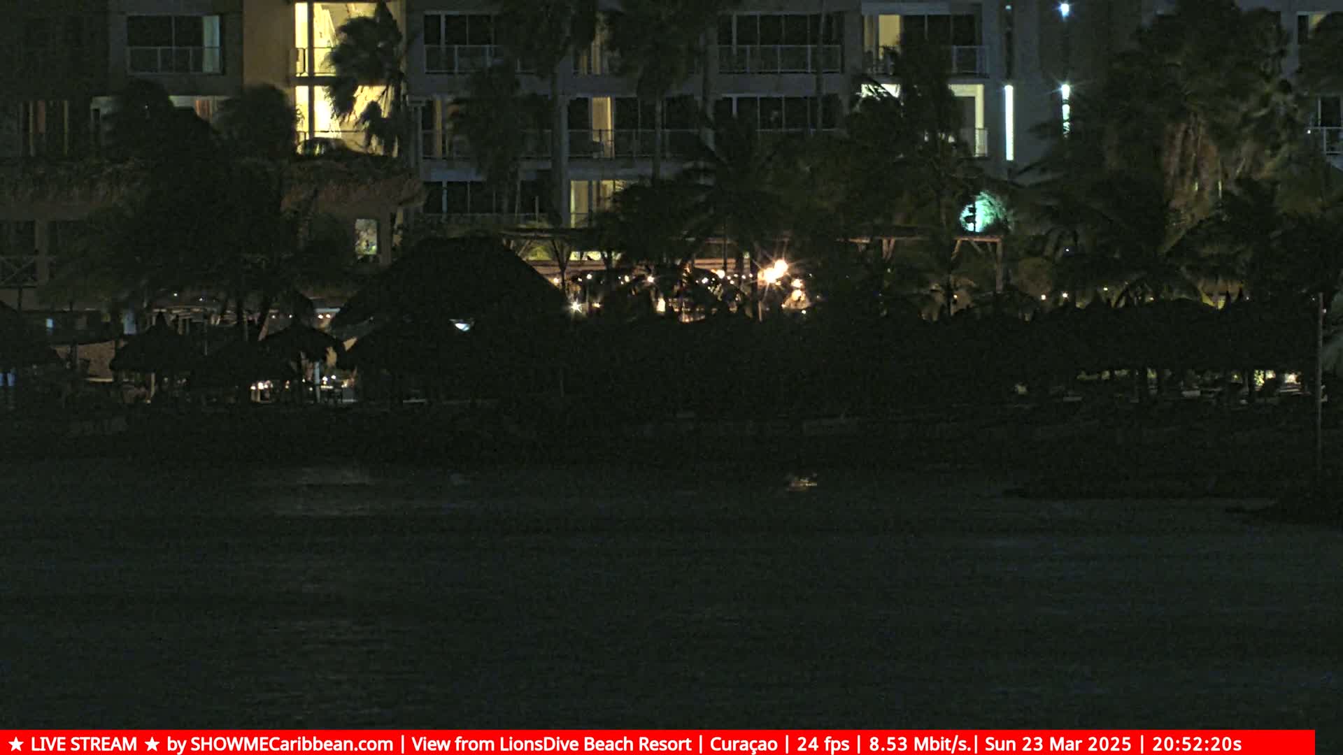 A dark nighttime scene shows a resort building with lights on, palm trees, and beach umbrellas along a dark body of water.
