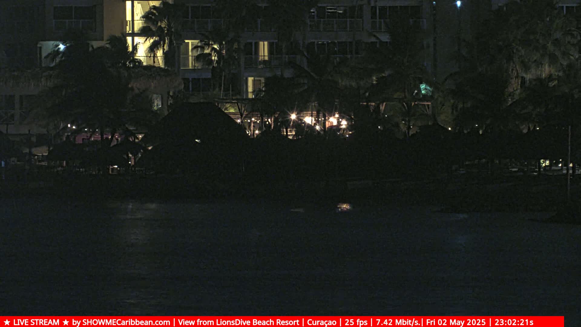 At night, a resort with palm trees and lights near a dark body of water is visible.