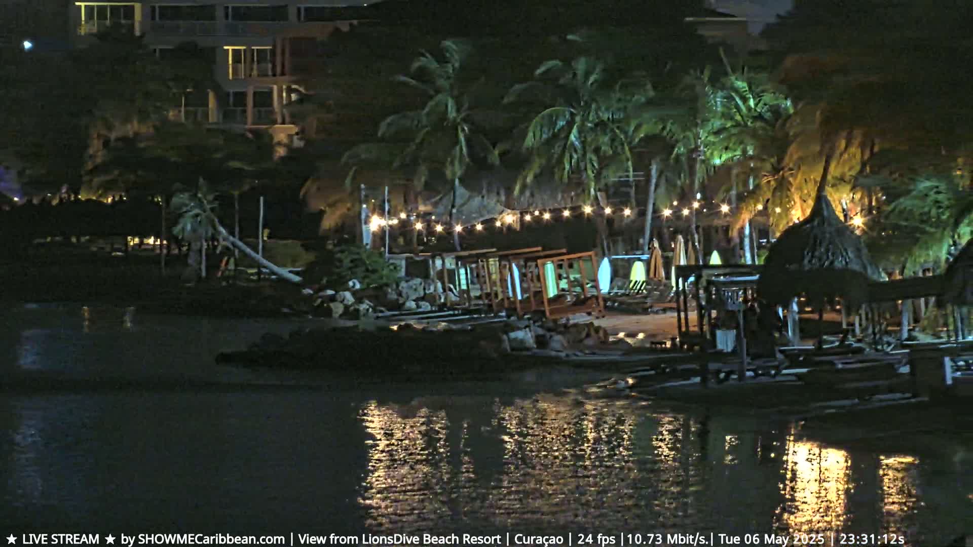 A nighttime view of a beach resort with palm trees, string lights, and beach furniture illuminated near calm water.