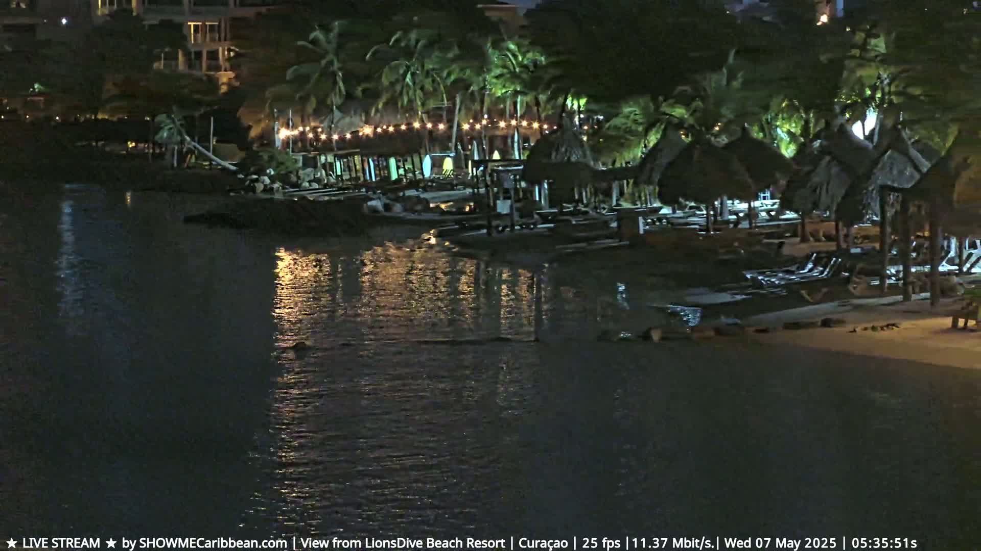 A nighttime view of a beach resort with palm trees, thatched-roof structures, and calm water reflecting lights.