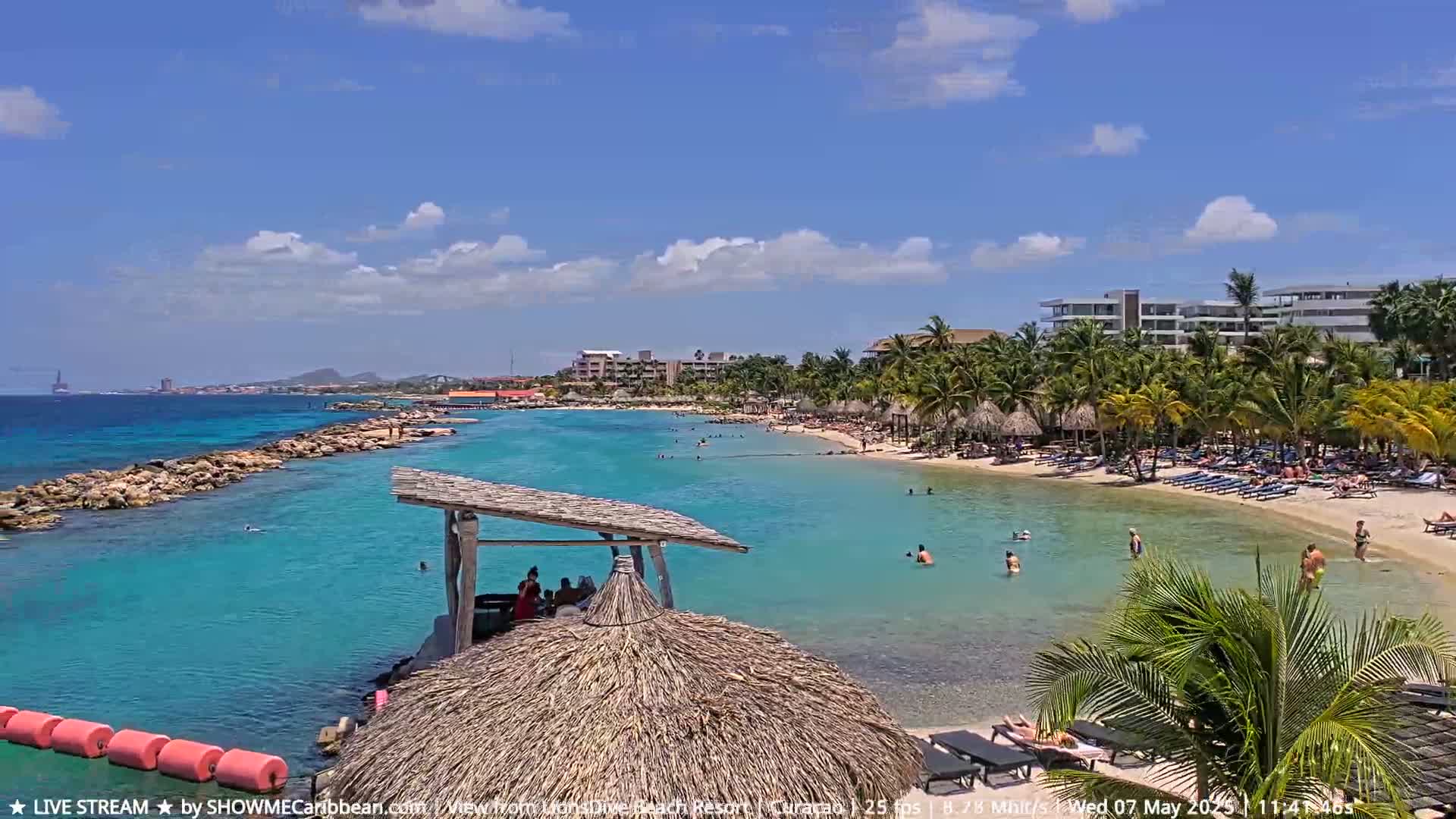 A sunny beach scene shows a calm, turquoise ocean lapping a sandy shore lined with palm trees, beach umbrellas, and sunbathers.