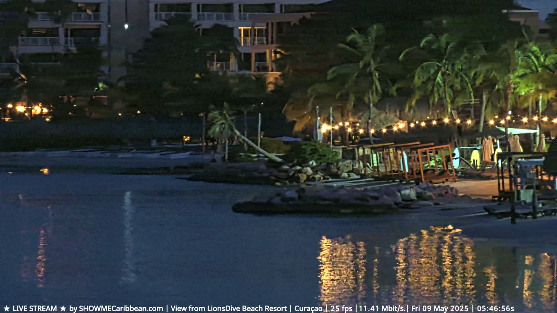 A nighttime beach scene shows palm trees, a building, and string lights reflecting in calm water.