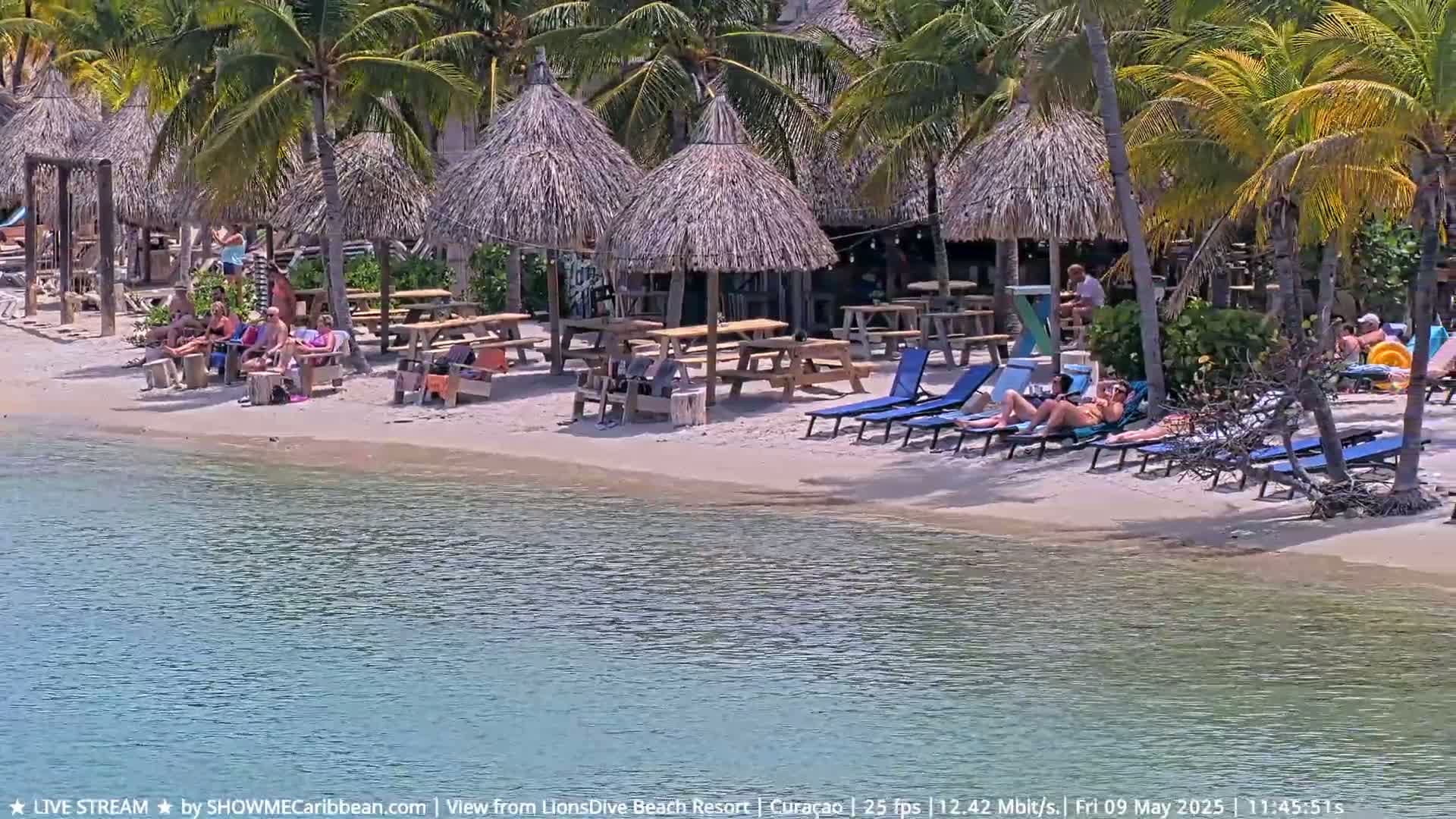 A sandy beach with thatched-roof huts, picnic tables, lounge chairs, and people relaxing in the sun, next to calm, clear water.