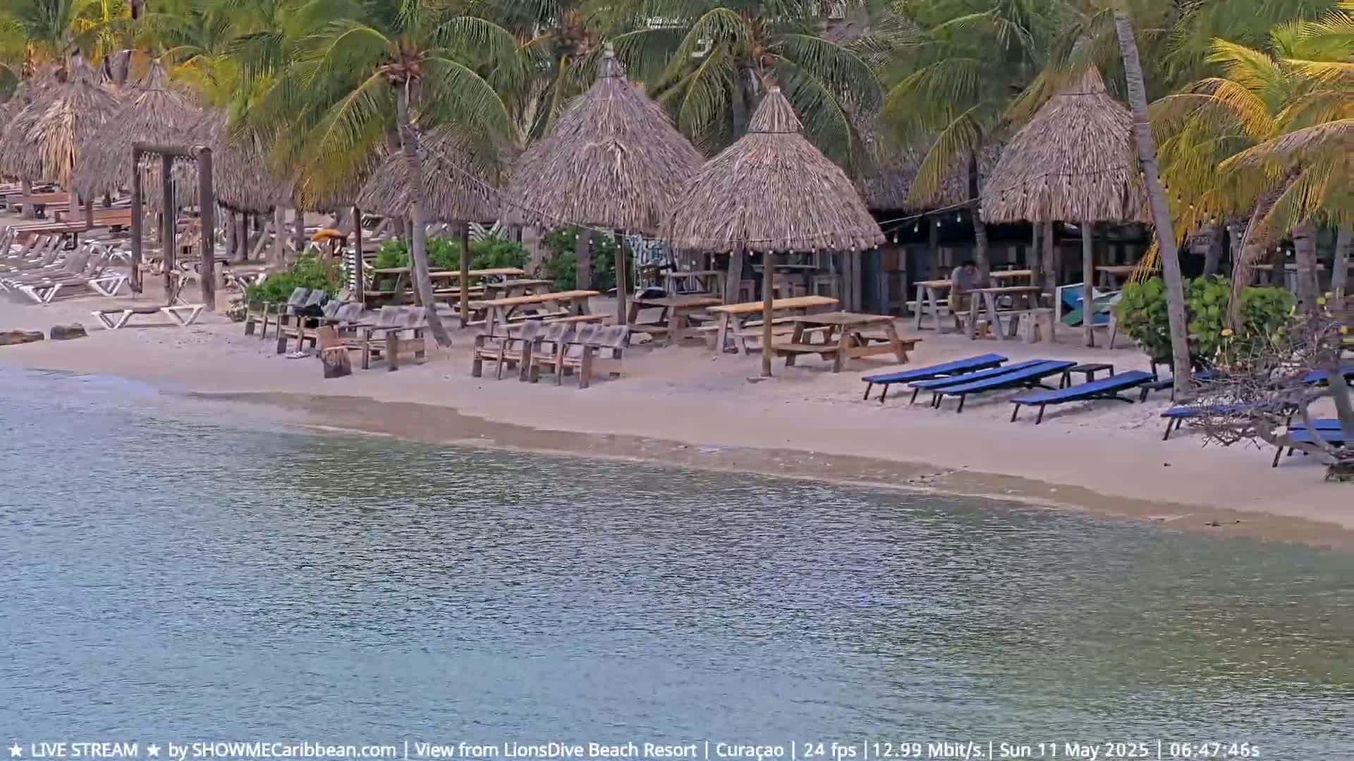 A sandy beach with thatched-roof umbrellas, picnic tables, lounge chairs, and palm trees borders calm, blue water.