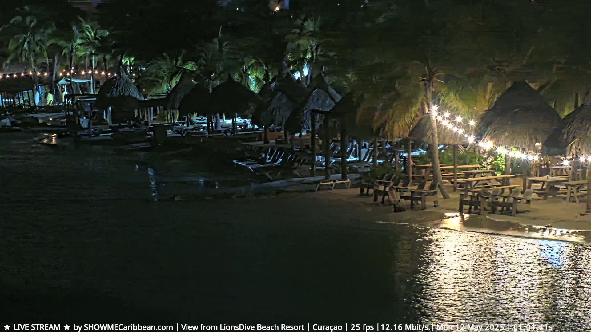 A nighttime beach scene shows several thatched-roof huts and picnic tables illuminated by string lights, alongside lounge chairs, all set amongst palm trees next to calm water.