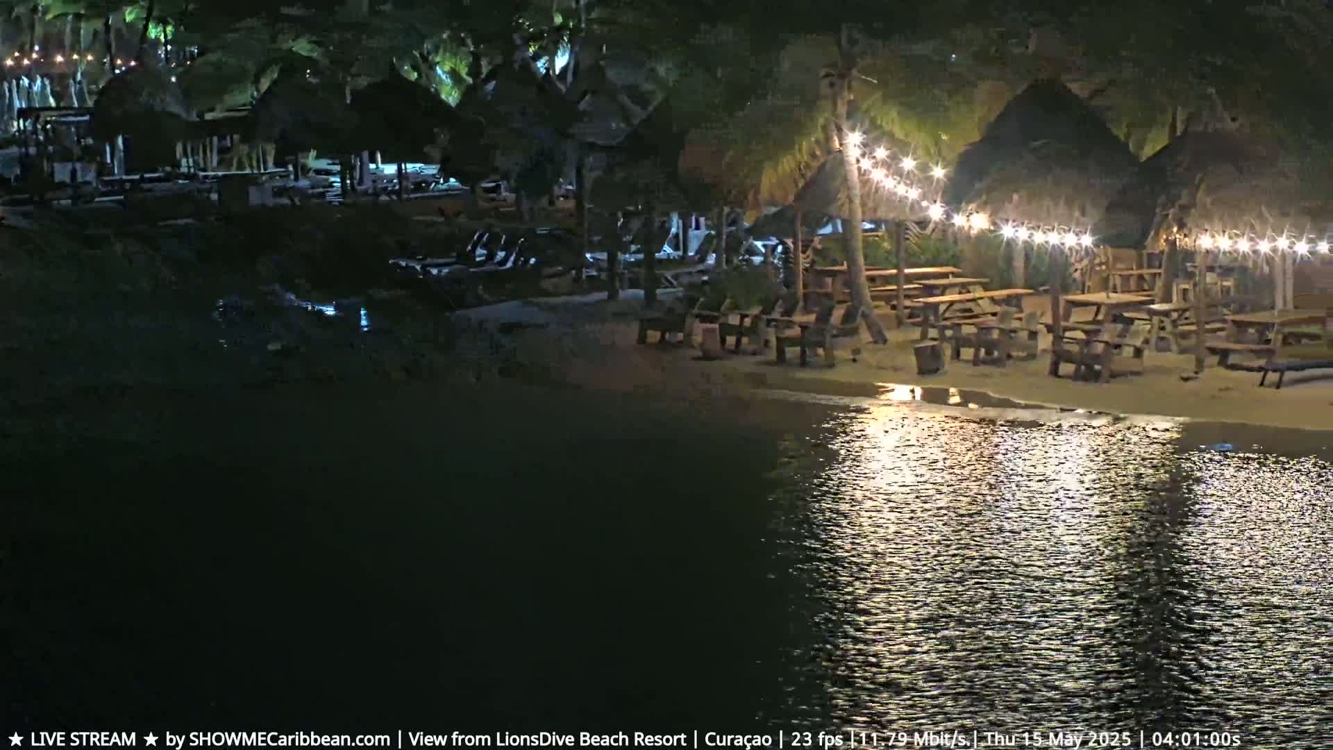 A nighttime beach scene shows several picnic tables and lounge chairs under thatched-roof structures illuminated by string lights, beside calm water.