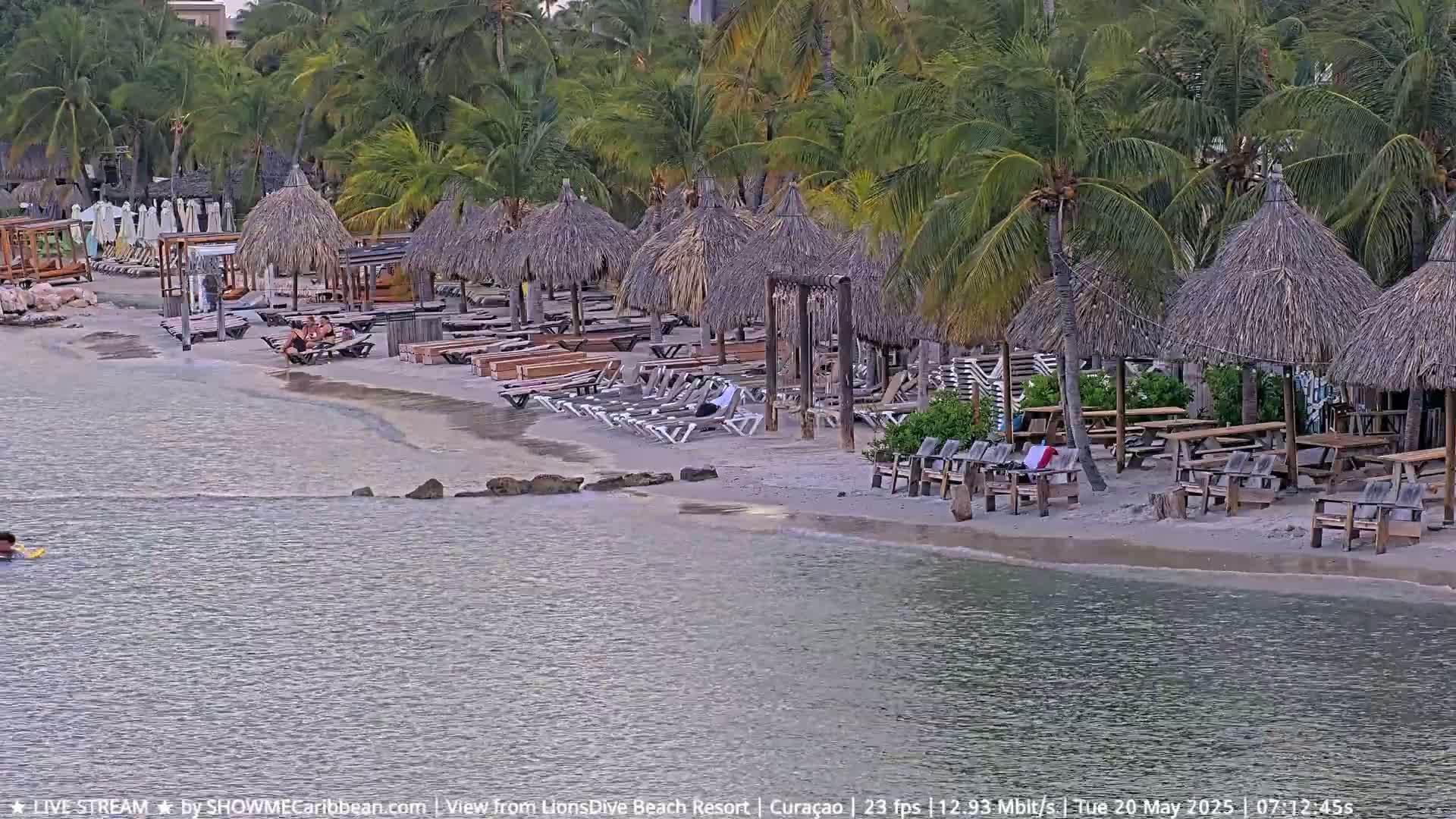 A sandy beach with thatched-roof umbrellas and lounge chairs is next to calm water, bordered by palm trees.