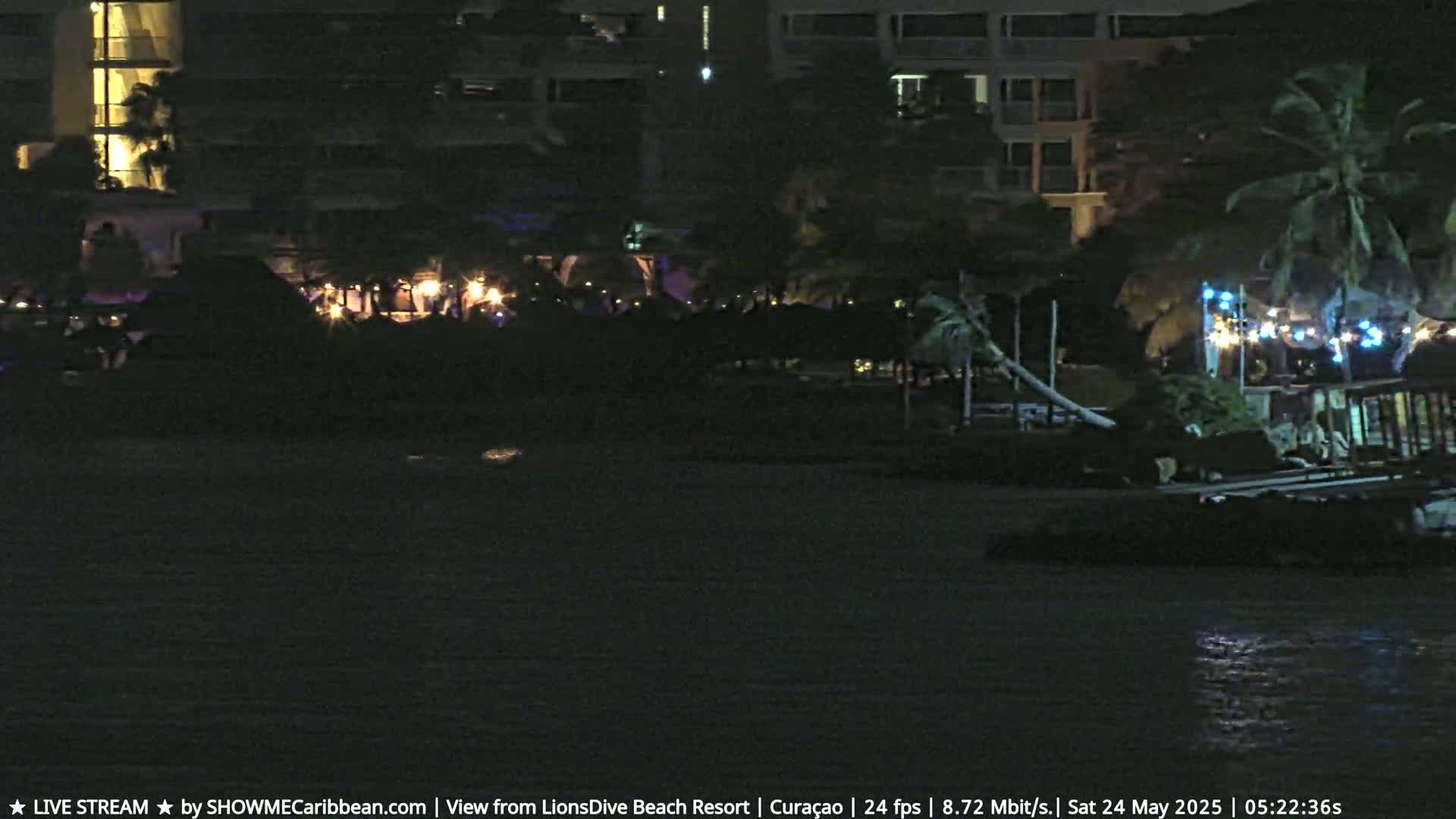 A nighttime view of a resort with palm trees, lights, and dark water in front.
