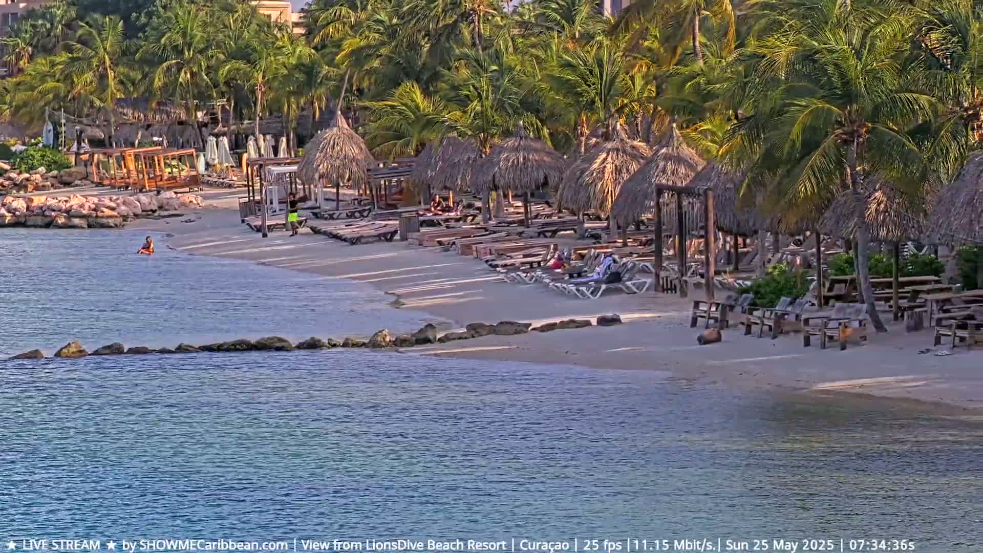 A sandy beach with thatched-roof cabanas and lounge chairs, surrounded by palm trees, borders calm, blue water.