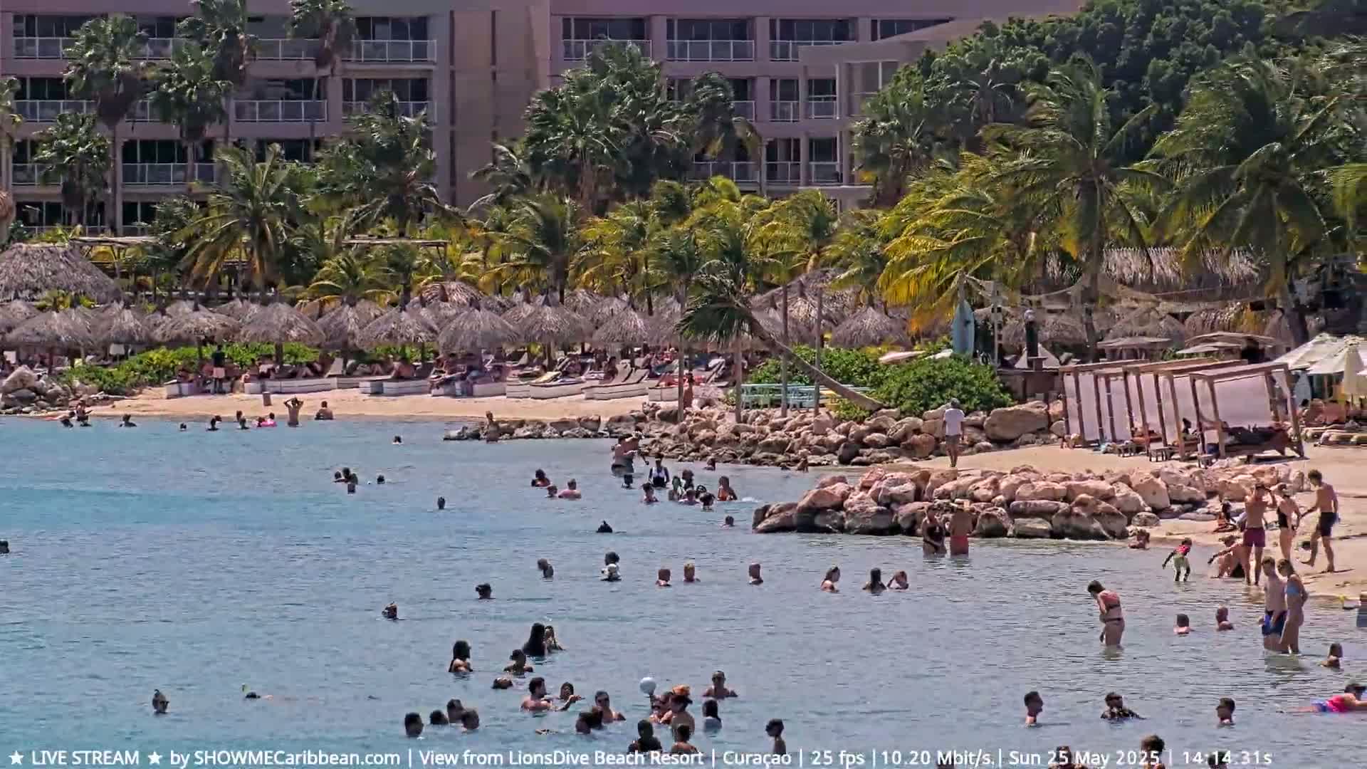 A sunny beach scene shows many people swimming and relaxing in shallow, calm water near a sandy shore with palm trees, beach umbrellas, and a resort building in the background.