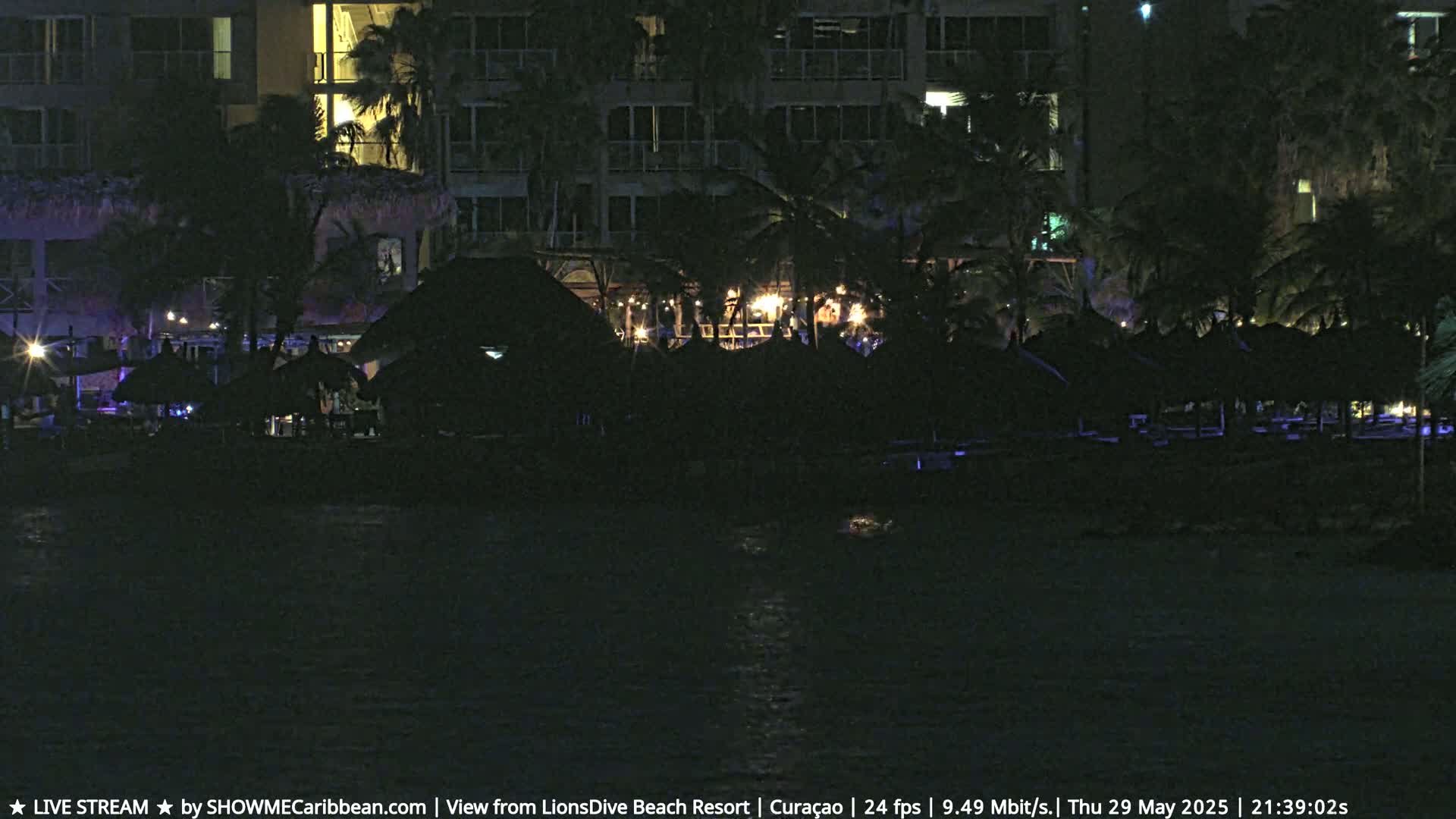 A nighttime view of a resort beach at night, showing a row of dark thatched umbrellas in front of a lit building, with palm trees and dark water in the foreground.