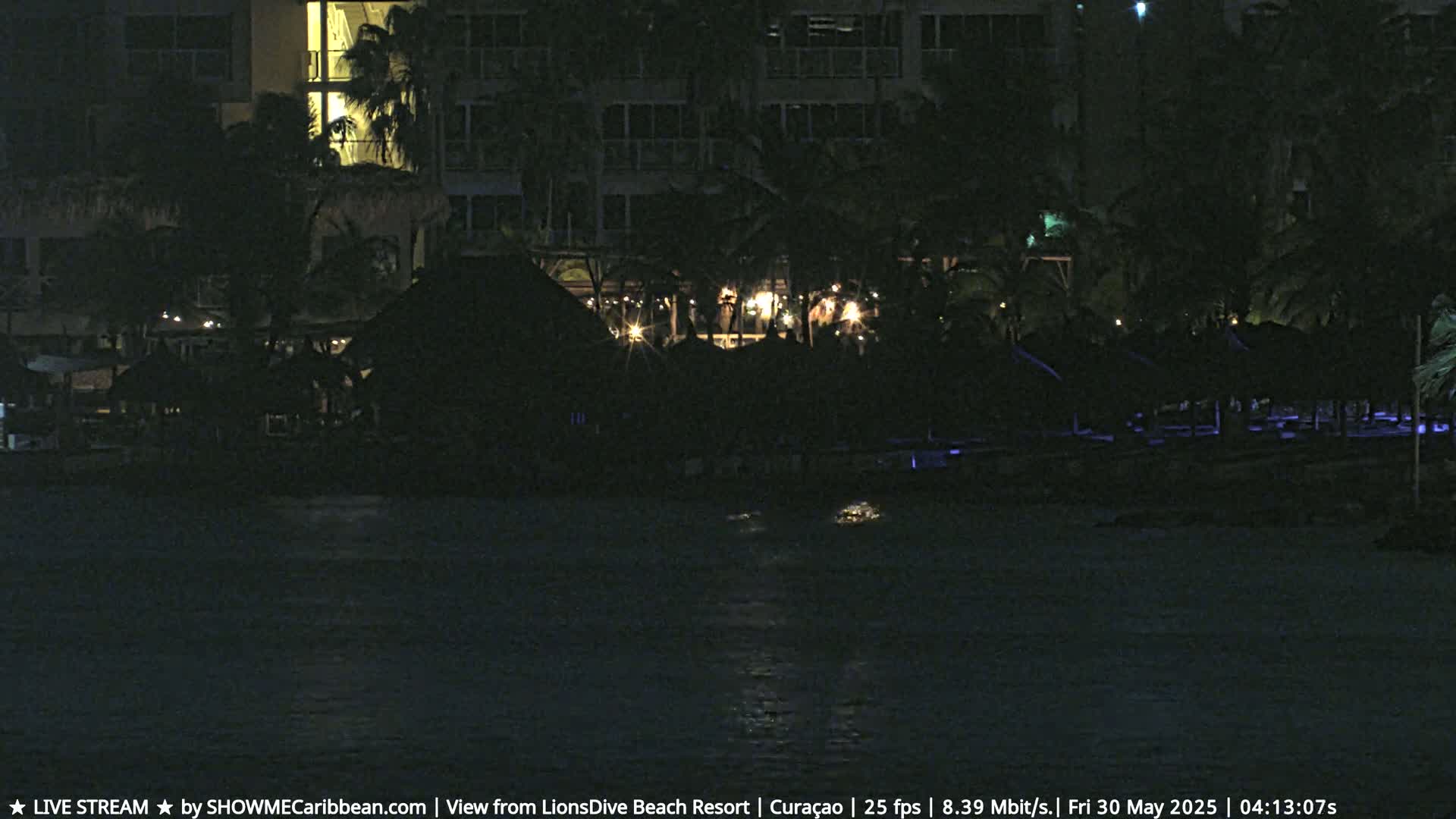 A dark nighttime scene shows a resort with palm trees and dimly lit structures along a calm body of water.