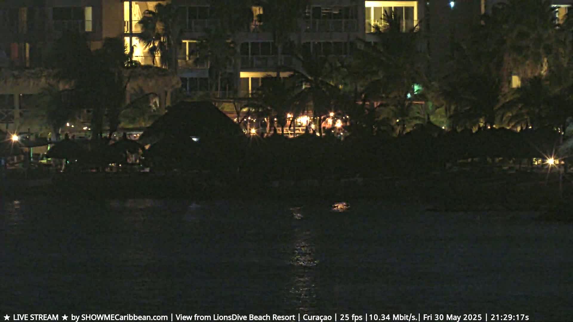 A nighttime view of a resort lit by ambient lights, with palm trees and calm water in the foreground.